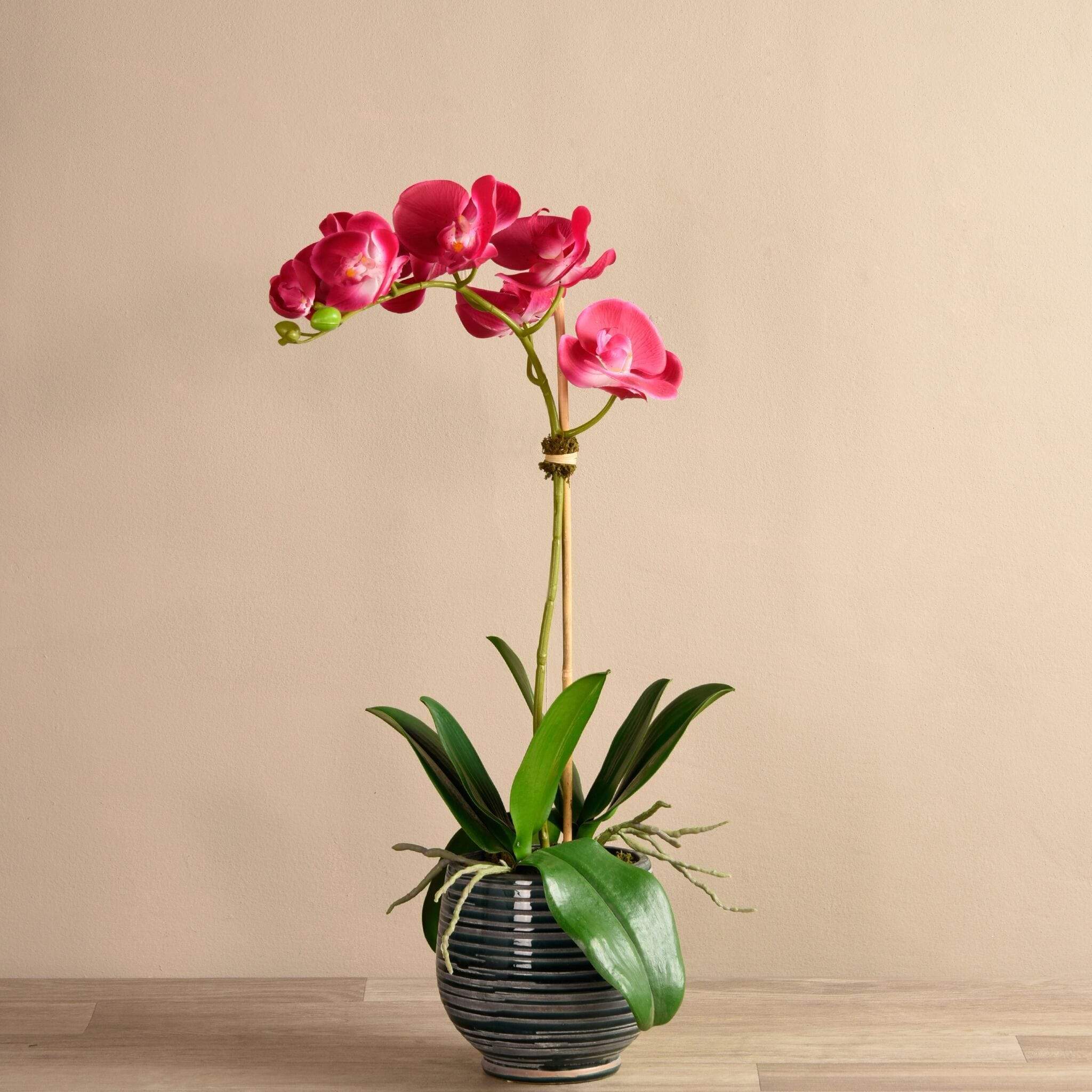 Coastal Artificial Orchid Arrangement - Image 12