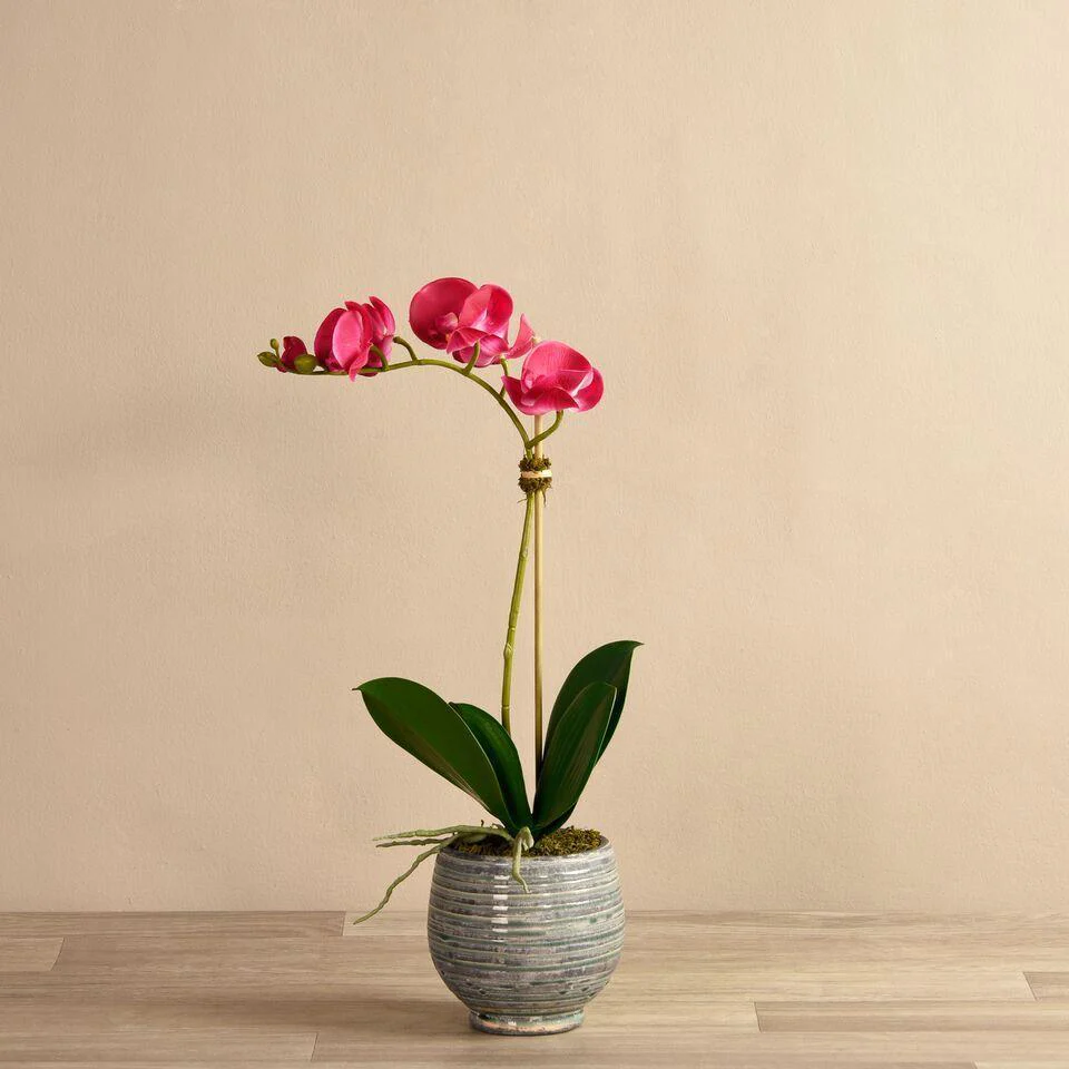 Coastal Artificial Orchid Arrangement - Image 13