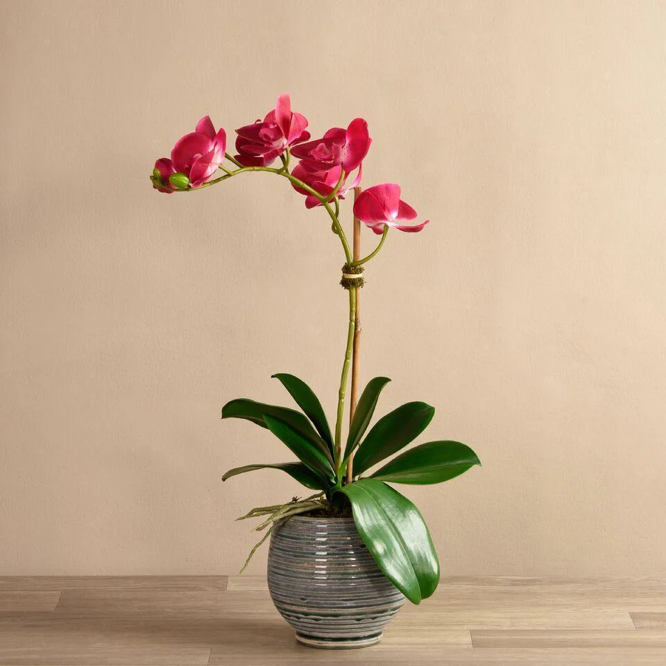 Coastal Artificial Orchid Arrangement - Image 14