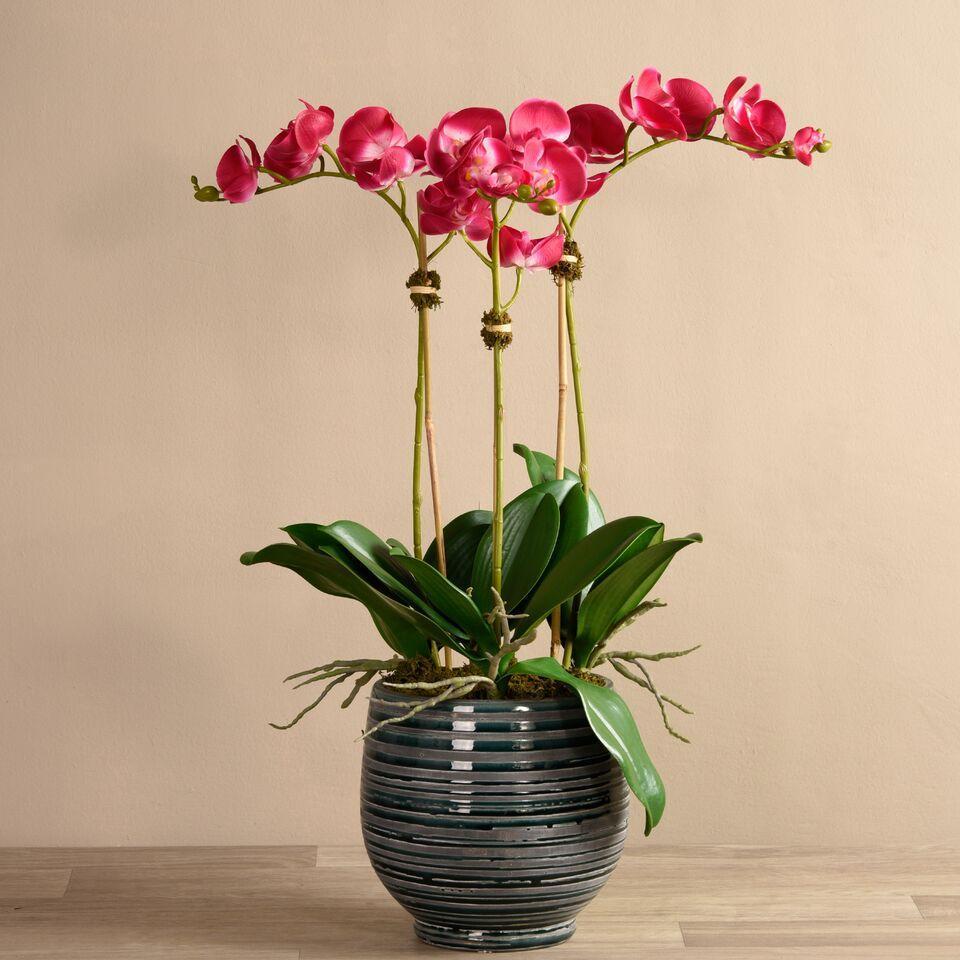 Coastal Artificial Orchid Arrangement - Image 15