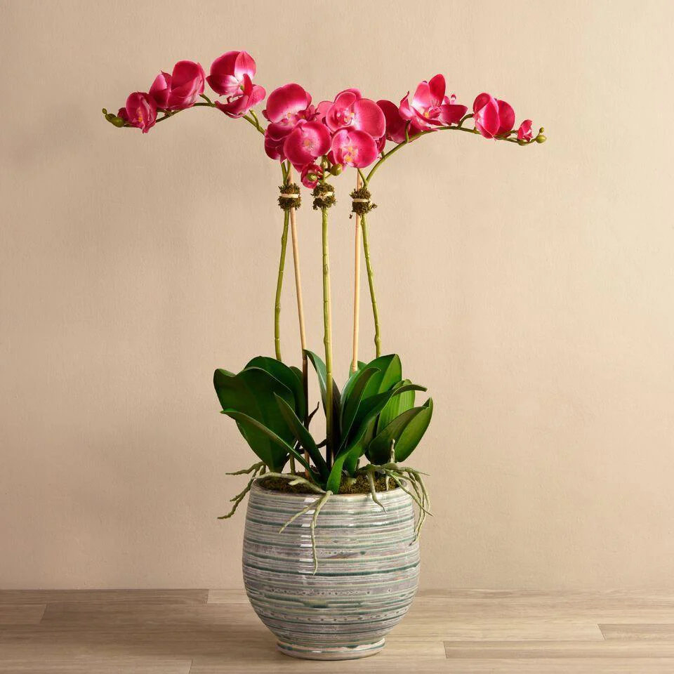 Coastal Artificial Orchid Arrangement - Image 16