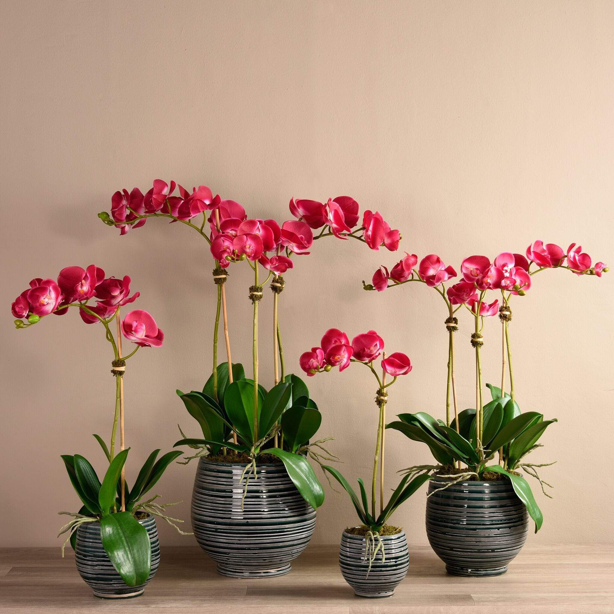Coastal Artificial Orchid Arrangement - Image 17