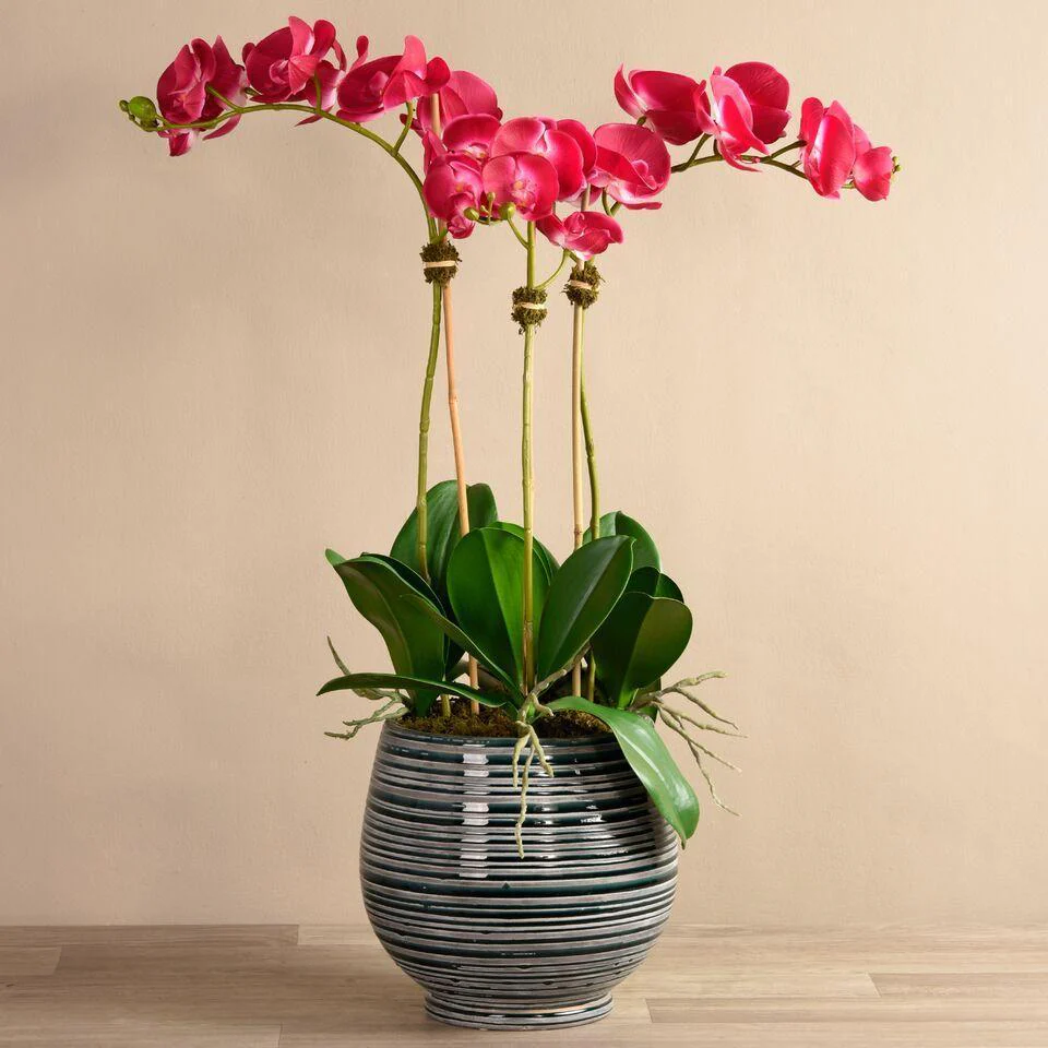 Coastal Artificial Orchid Arrangement - Image 18