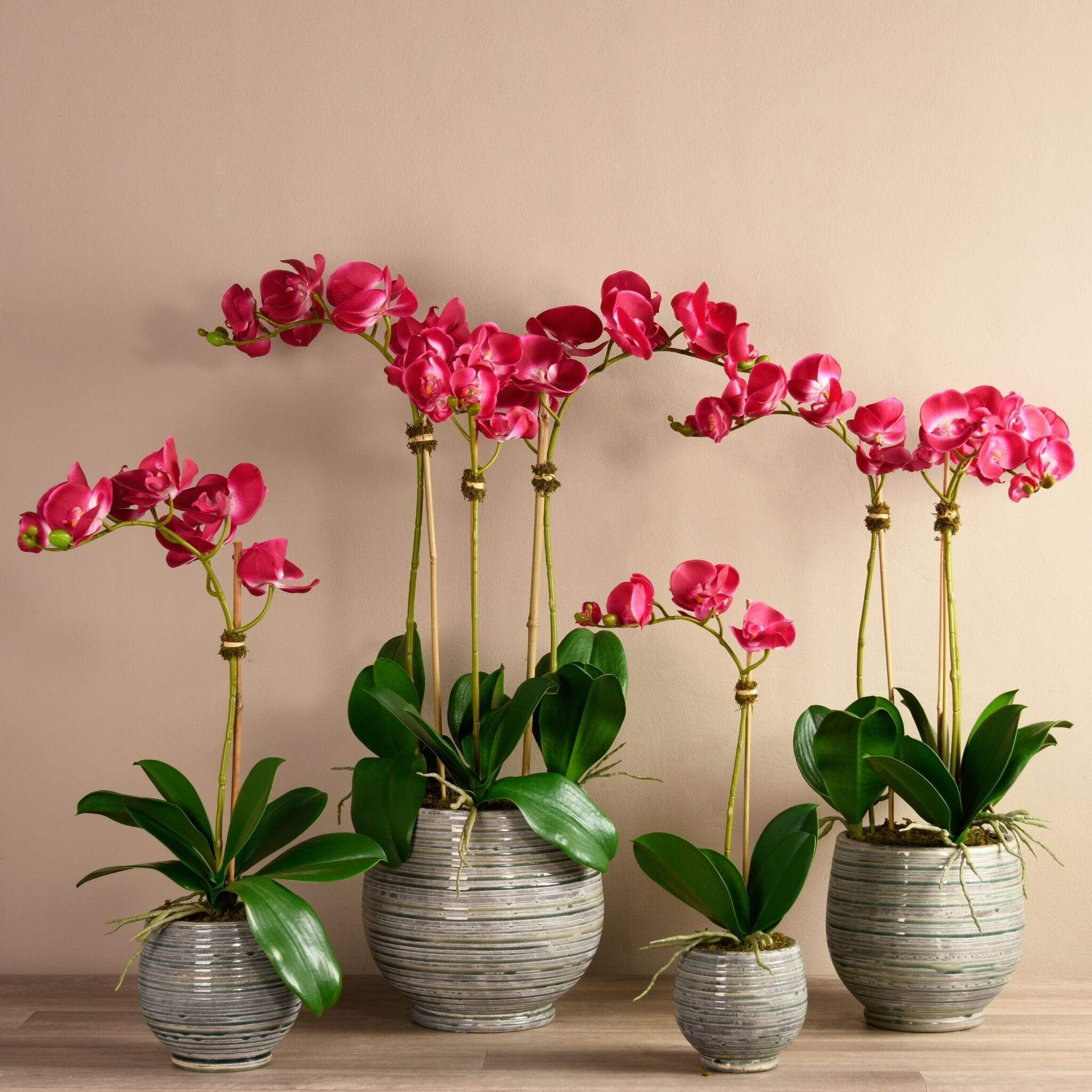 Coastal Artificial Orchid Arrangement - Image 19