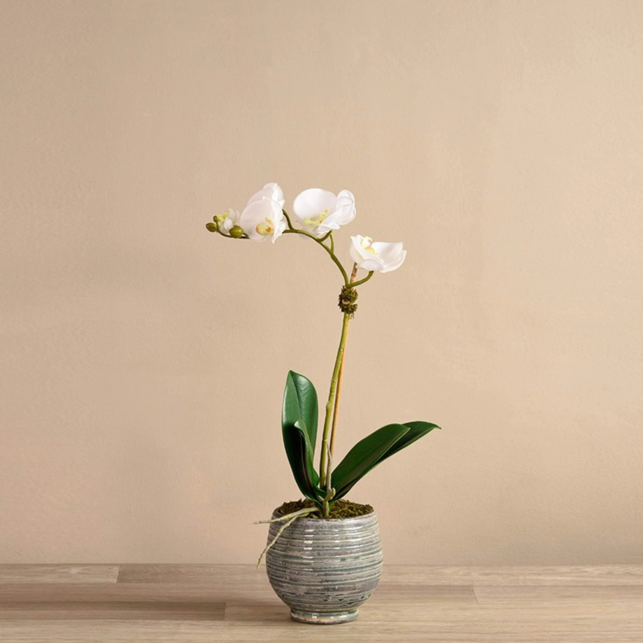 Coastal Artificial Orchid Arrangement - Image 2
