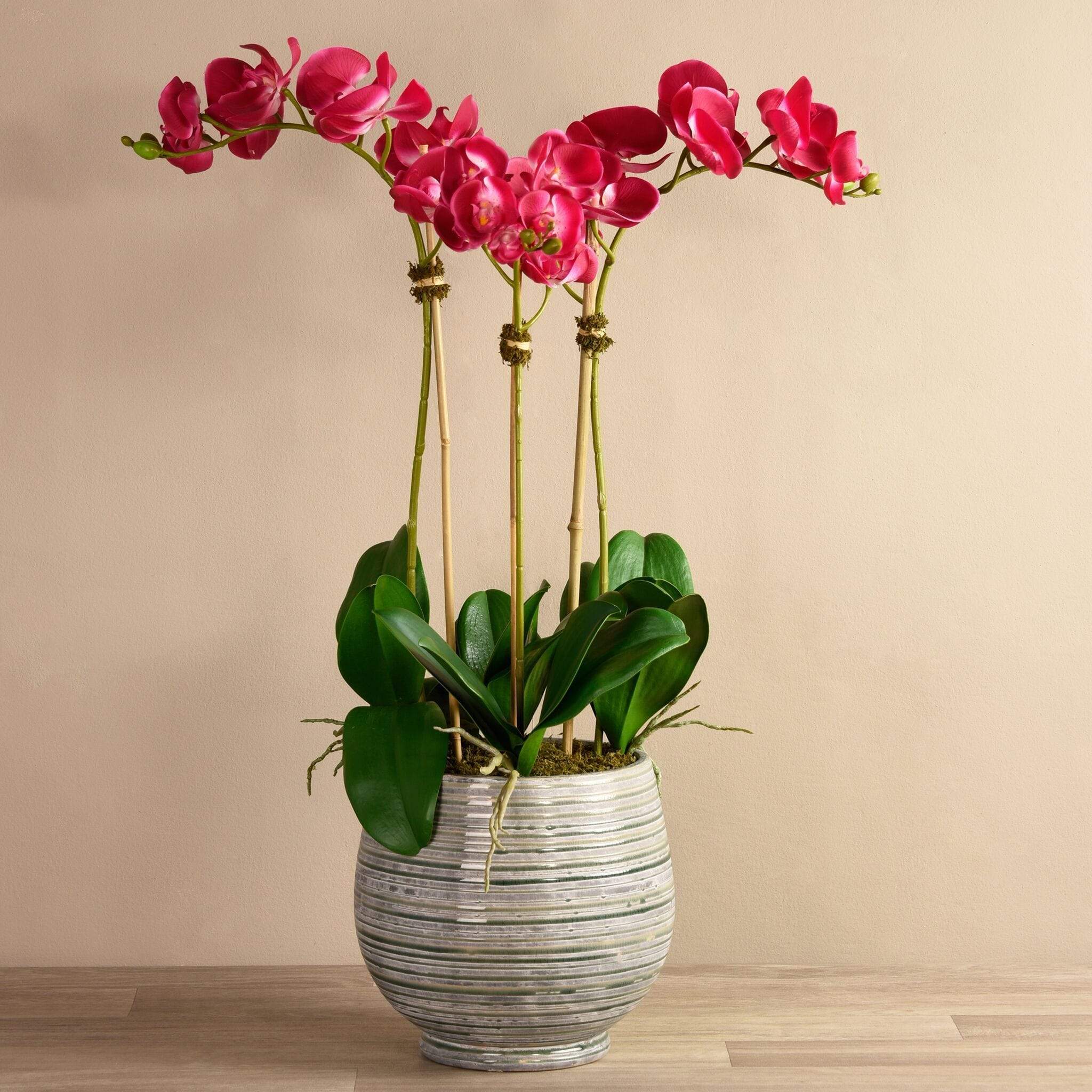 Coastal Artificial Orchid Arrangement - Image 20