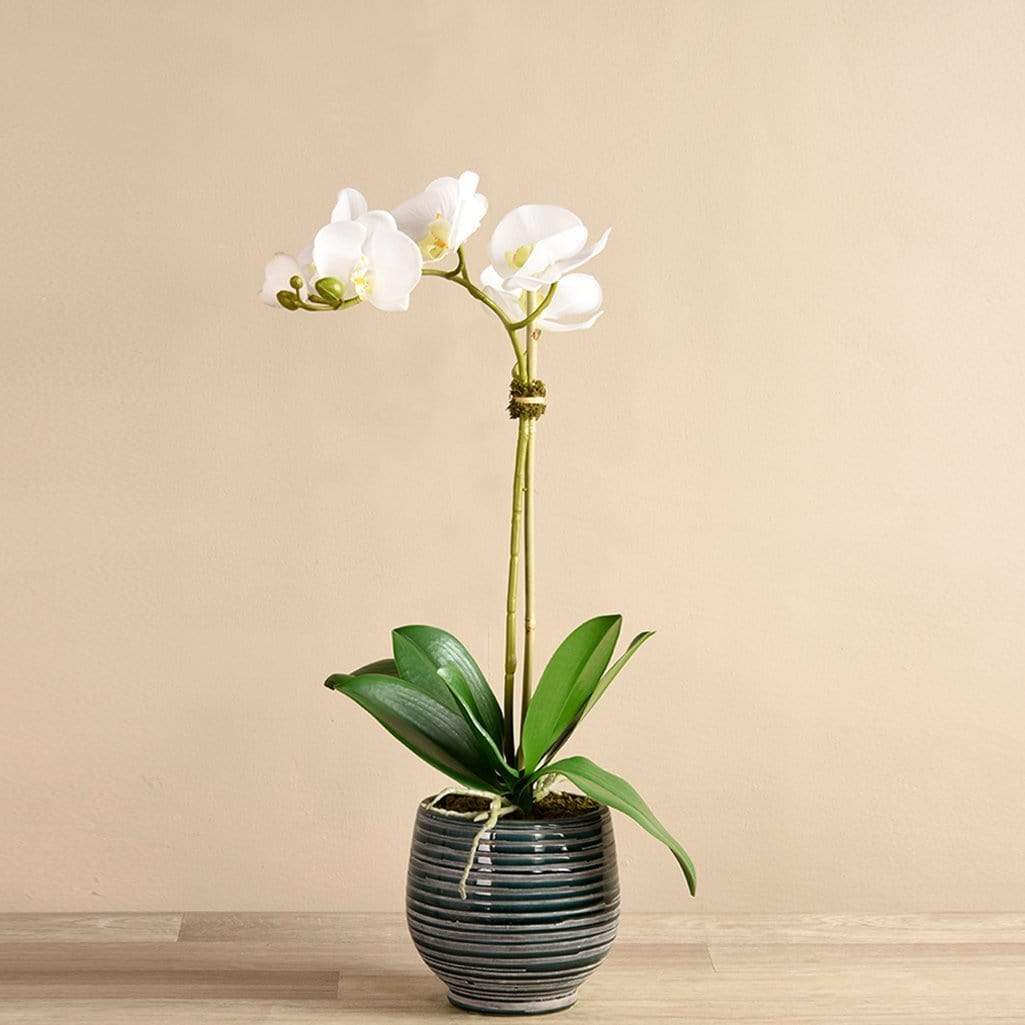 Coastal Artificial Orchid Arrangement - Image 5