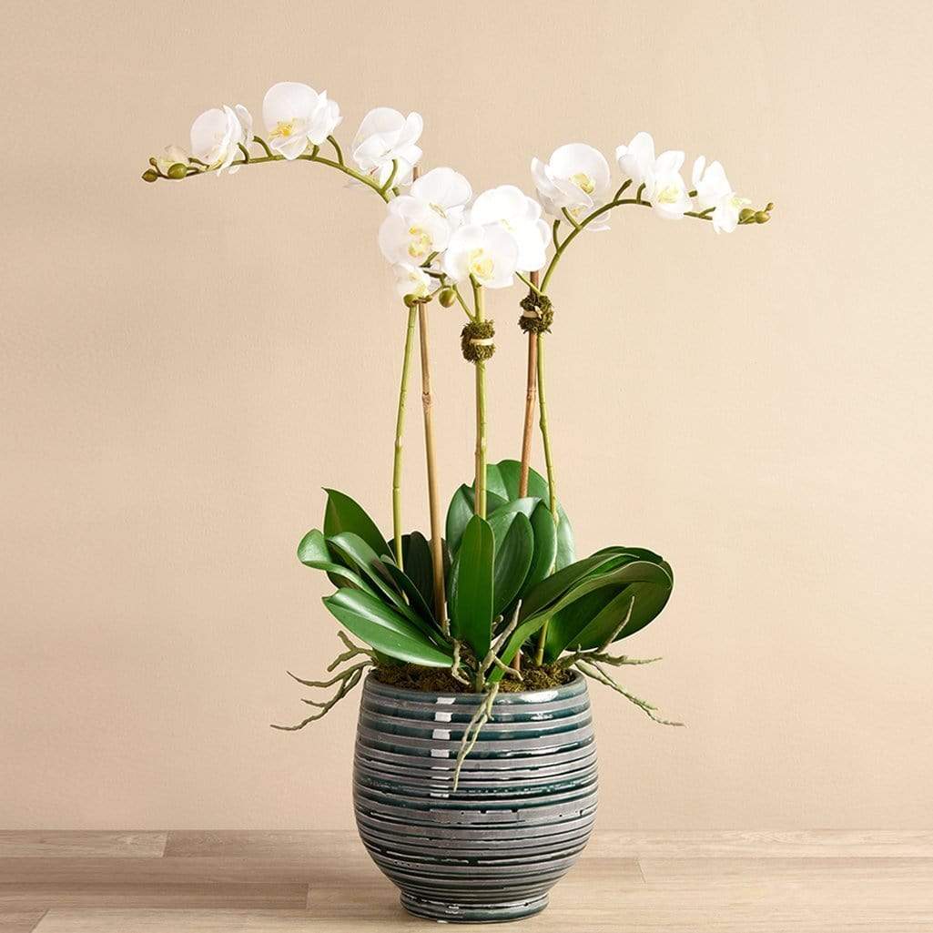 Coastal Artificial Orchid Arrangement - Image 6
