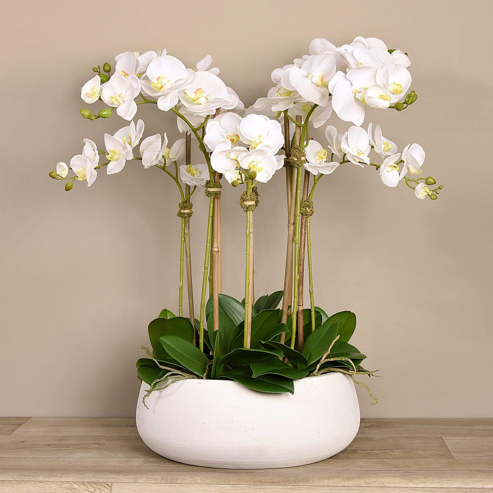 Oasis Artificial Orchids in White Pot - Image 3