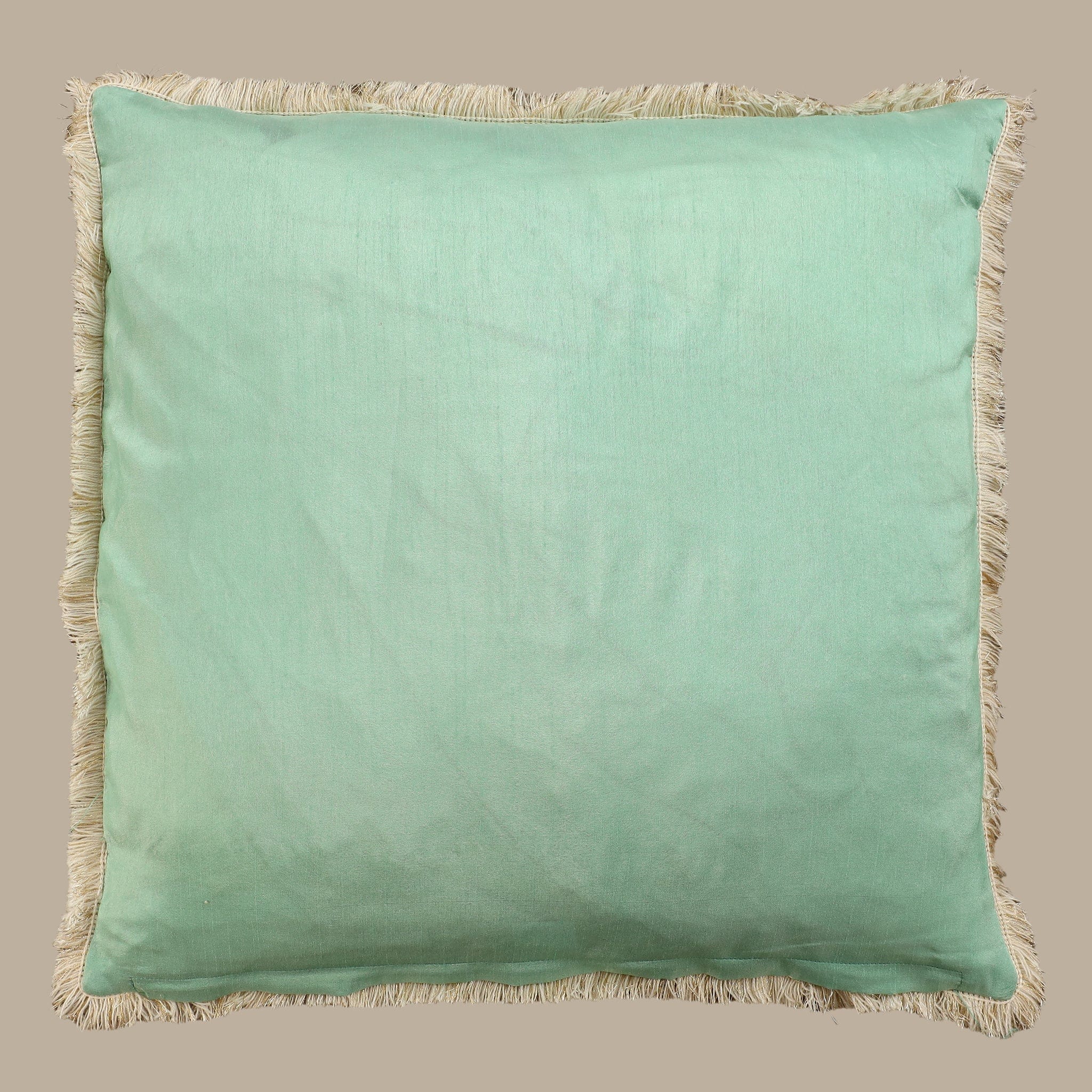 Entex - Image 2