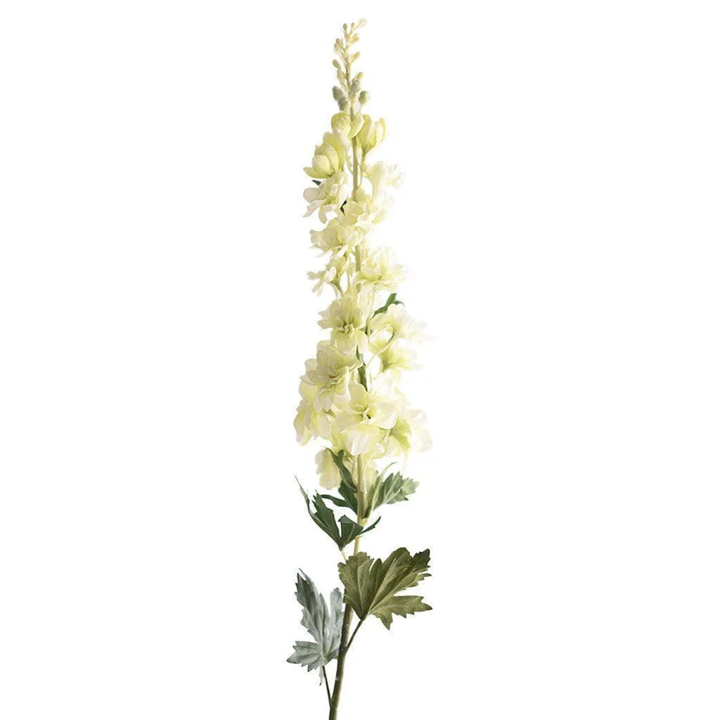 Delphinium