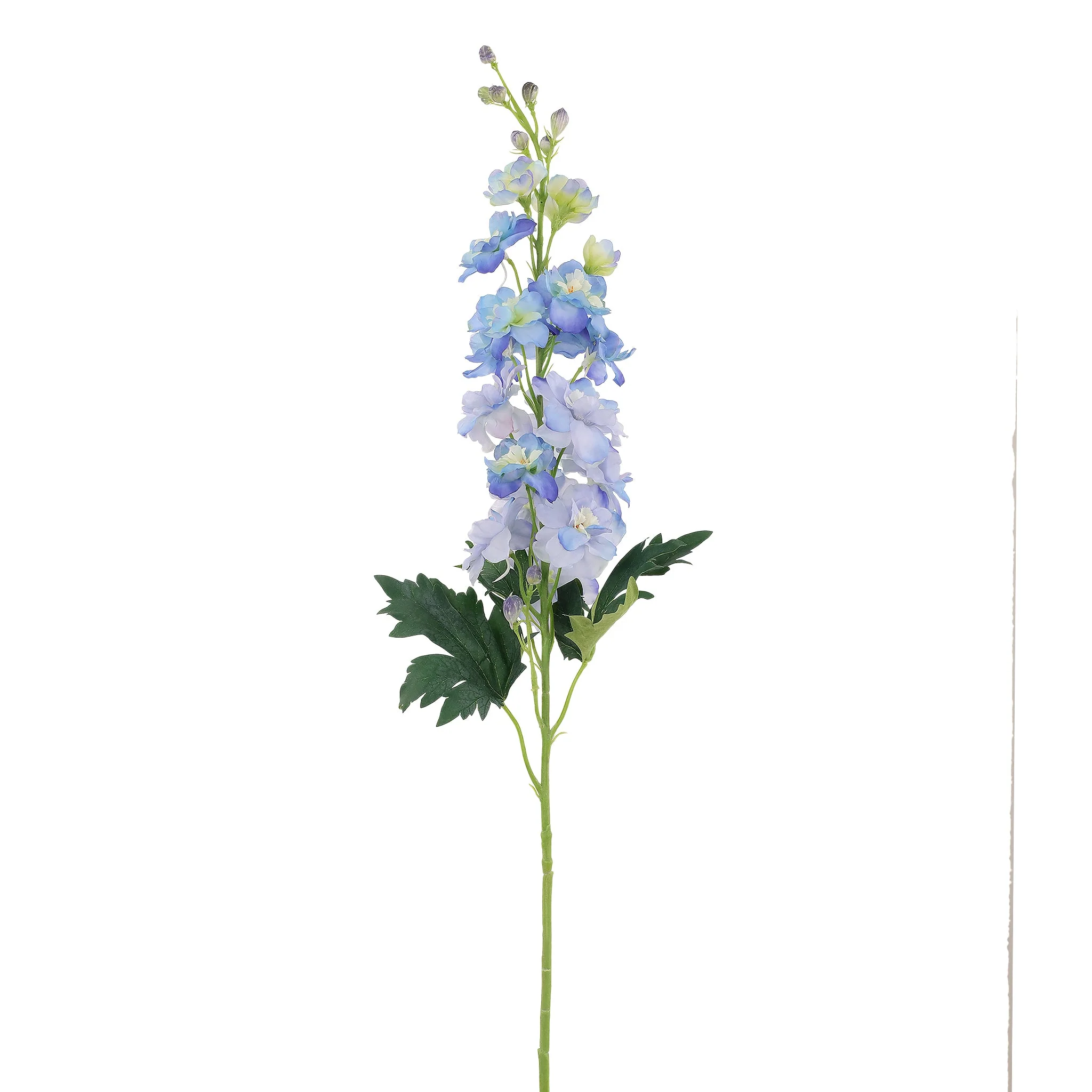 Delphinium - Image 2