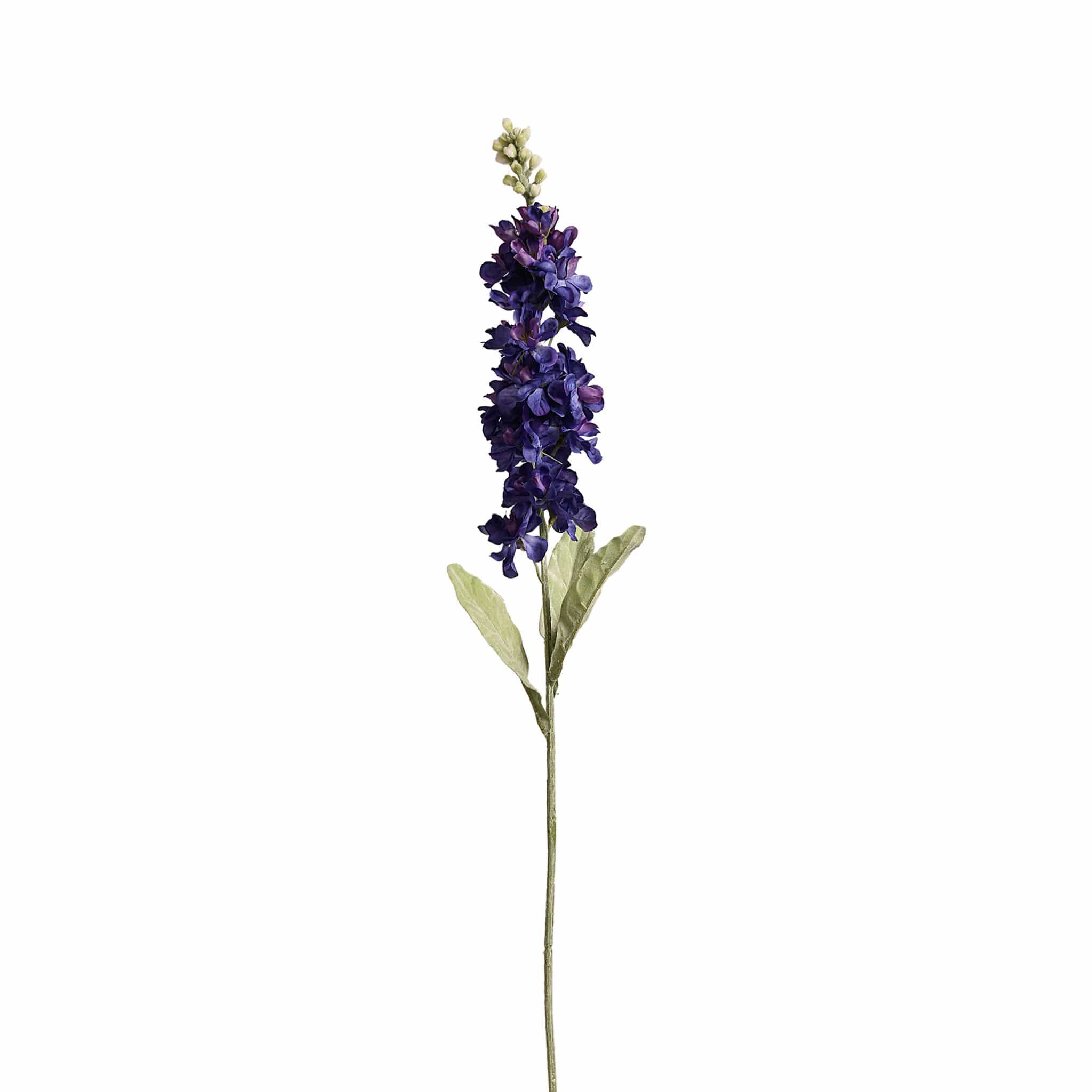 Delphinium - Image 3