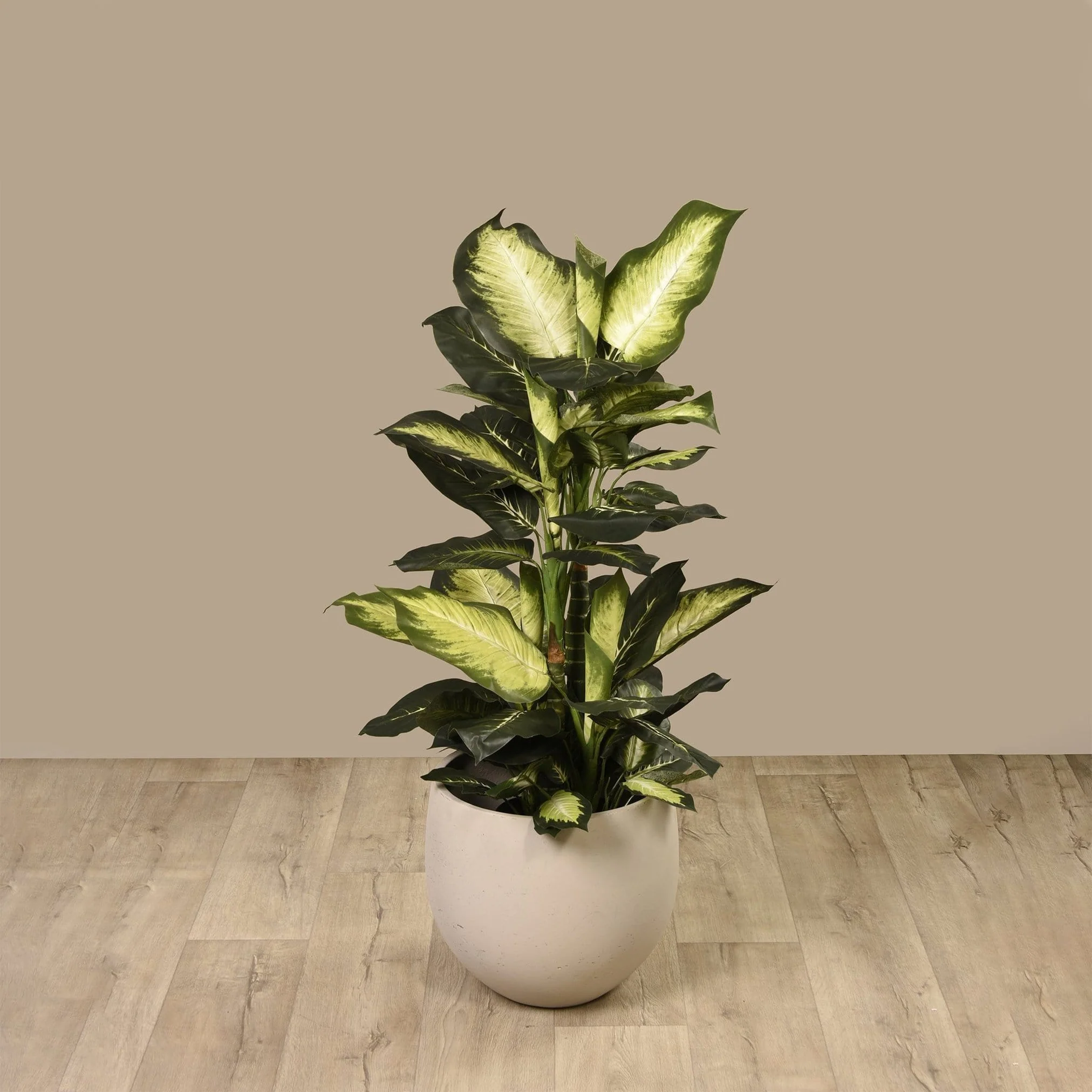 Artificial Diffenbachia Plant - Image 5
