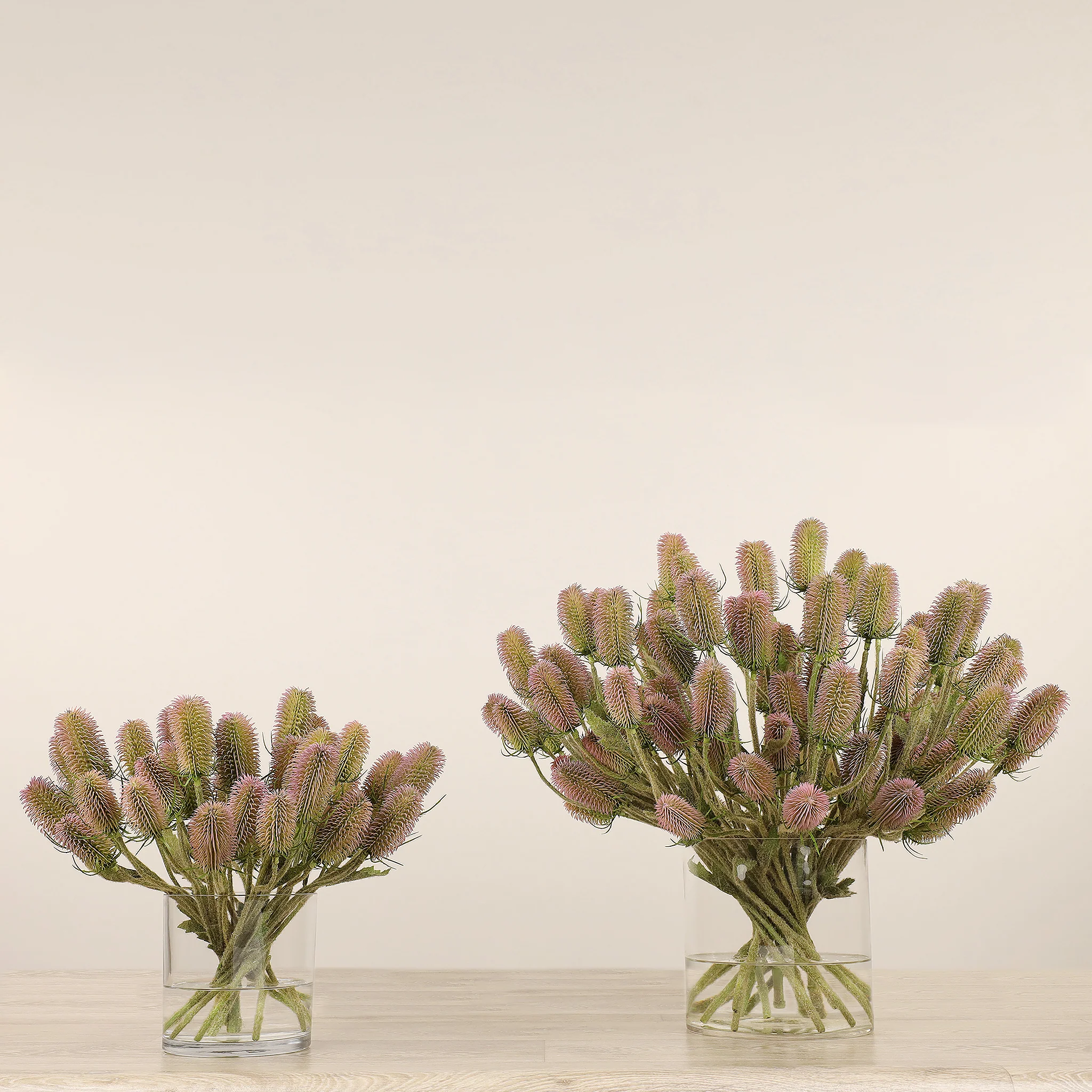 Dipsacus Arrangement in Glass Vase - Image 2