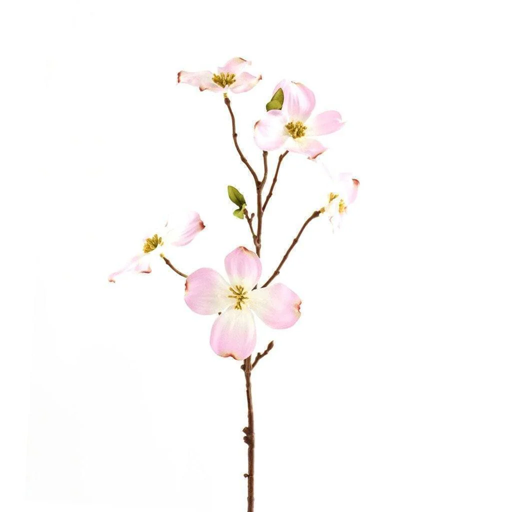Dogwood - Image 2