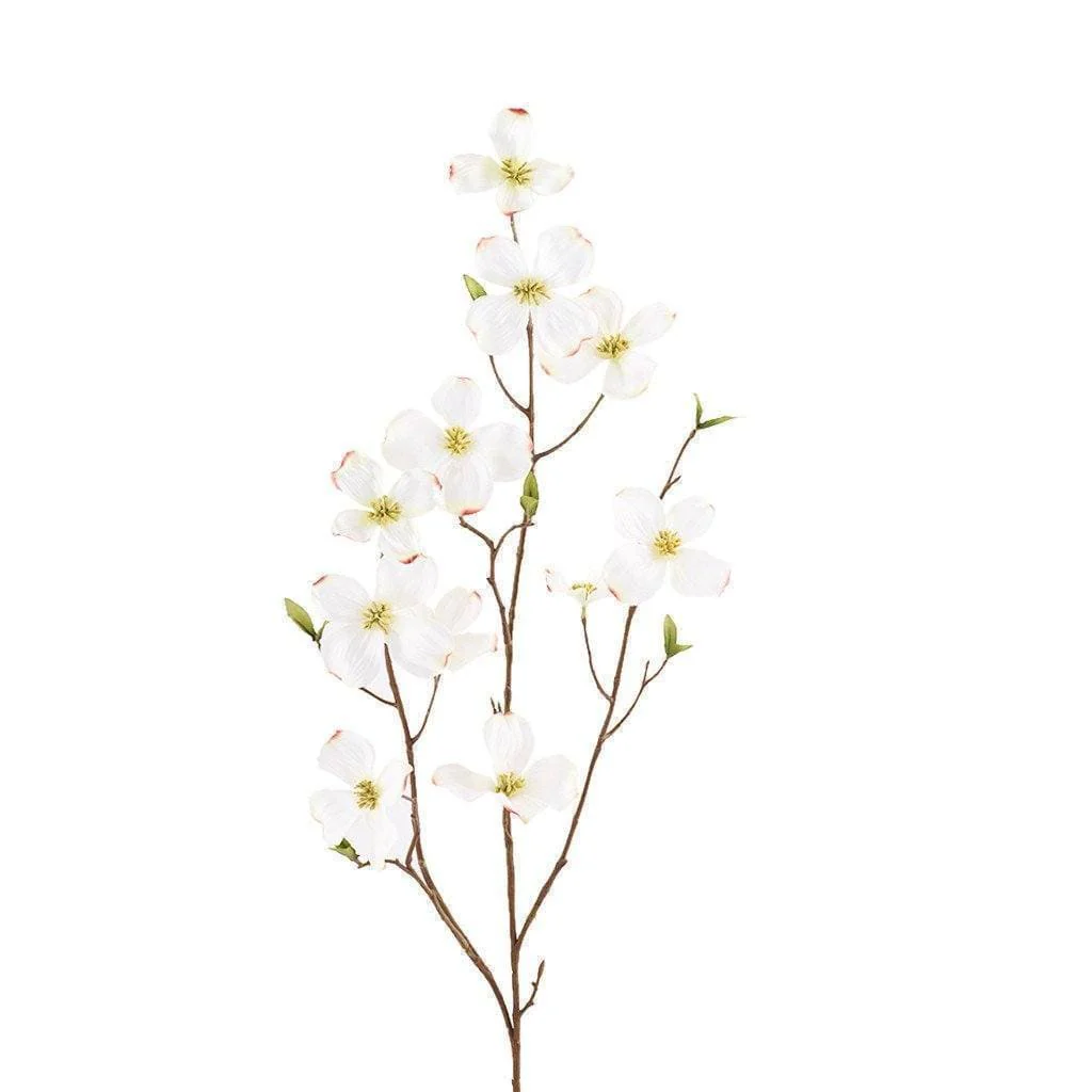 Dogwood
