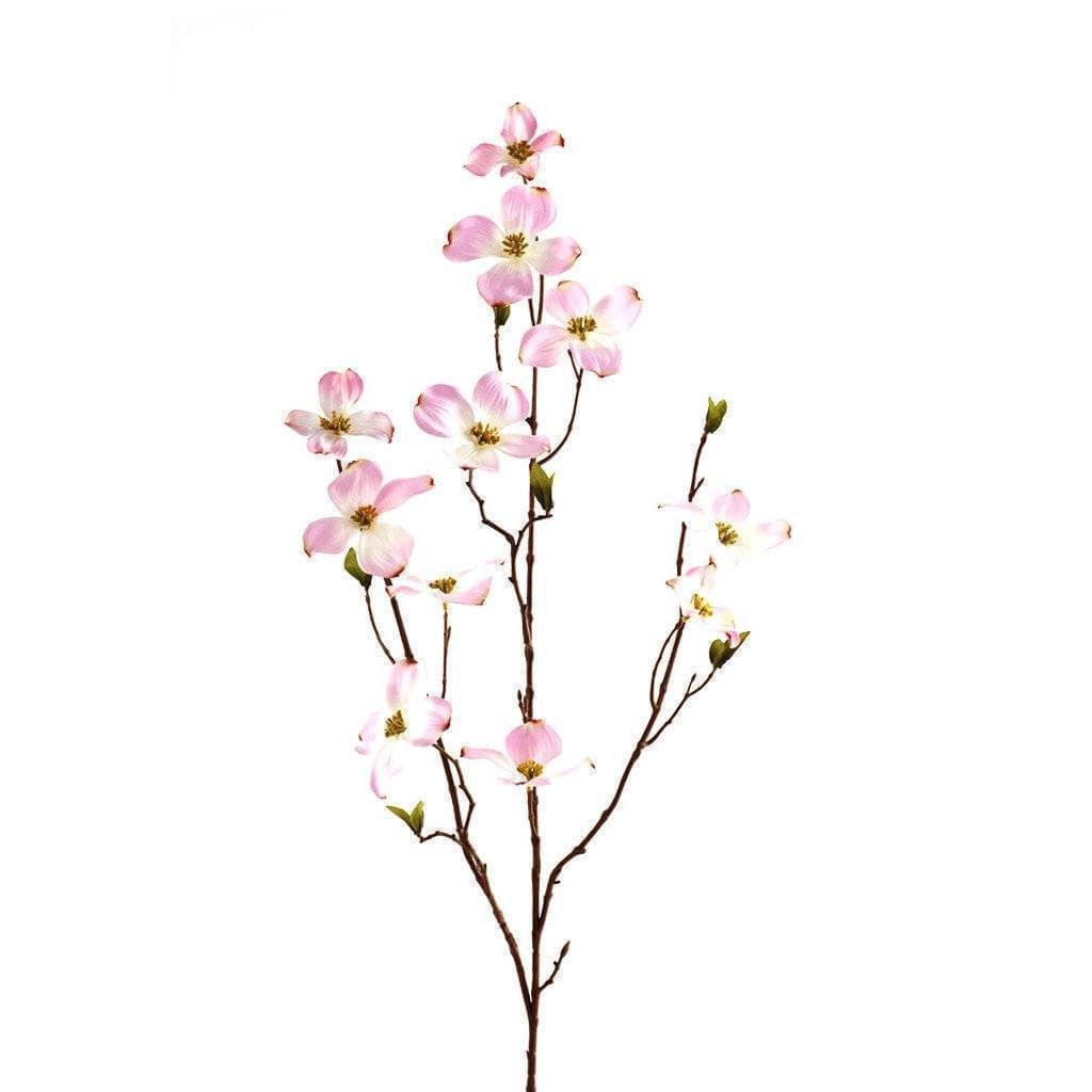 Dogwood - Image 2