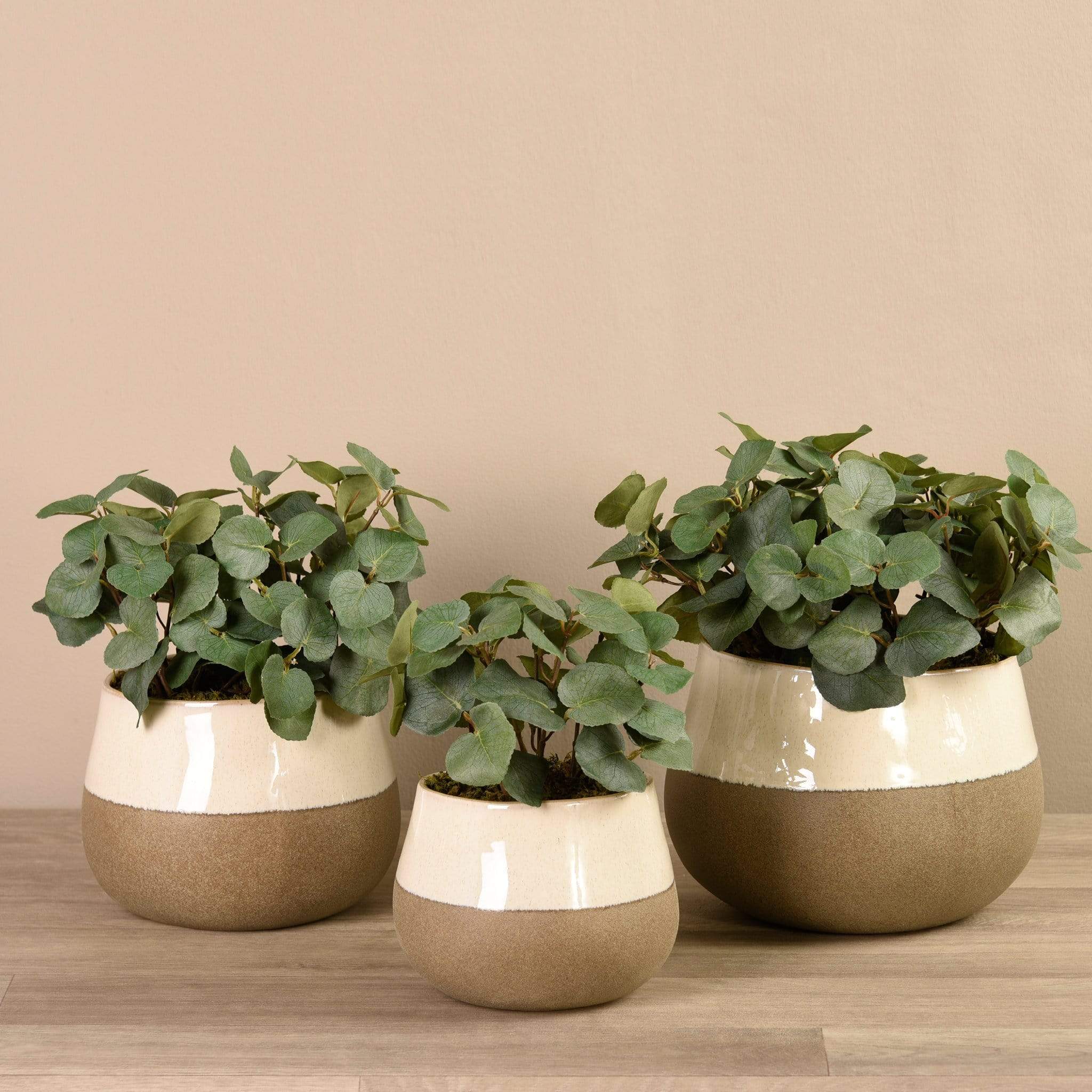 Artificial Eucalyptus Arrangement in Ceramic Vase