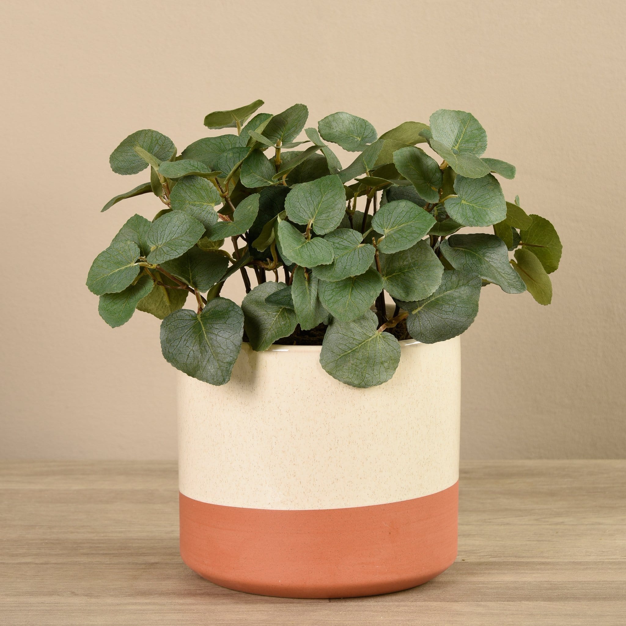 Artificial Eucalyptus Arrangement in Ceramic Vase - Image 3