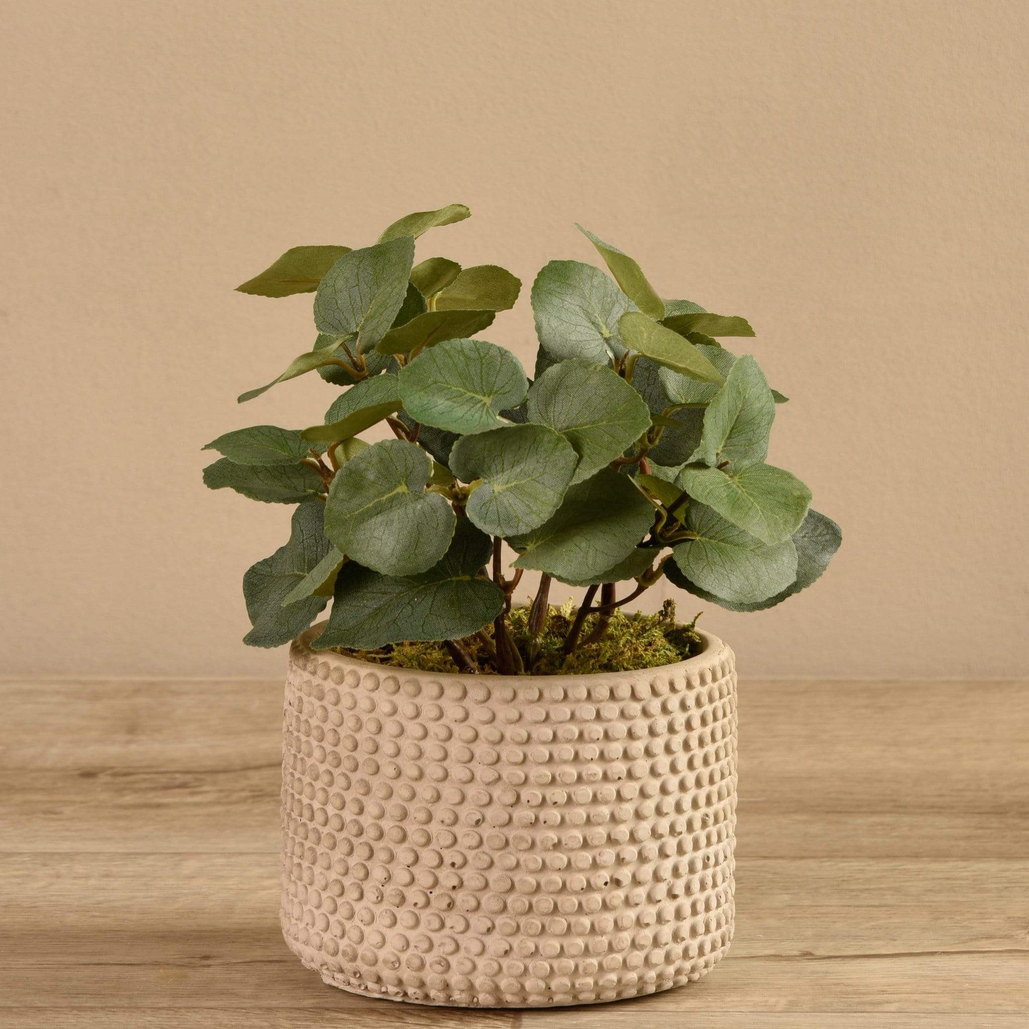 Artificial Eucalyptus In Cement Pot - Image 2