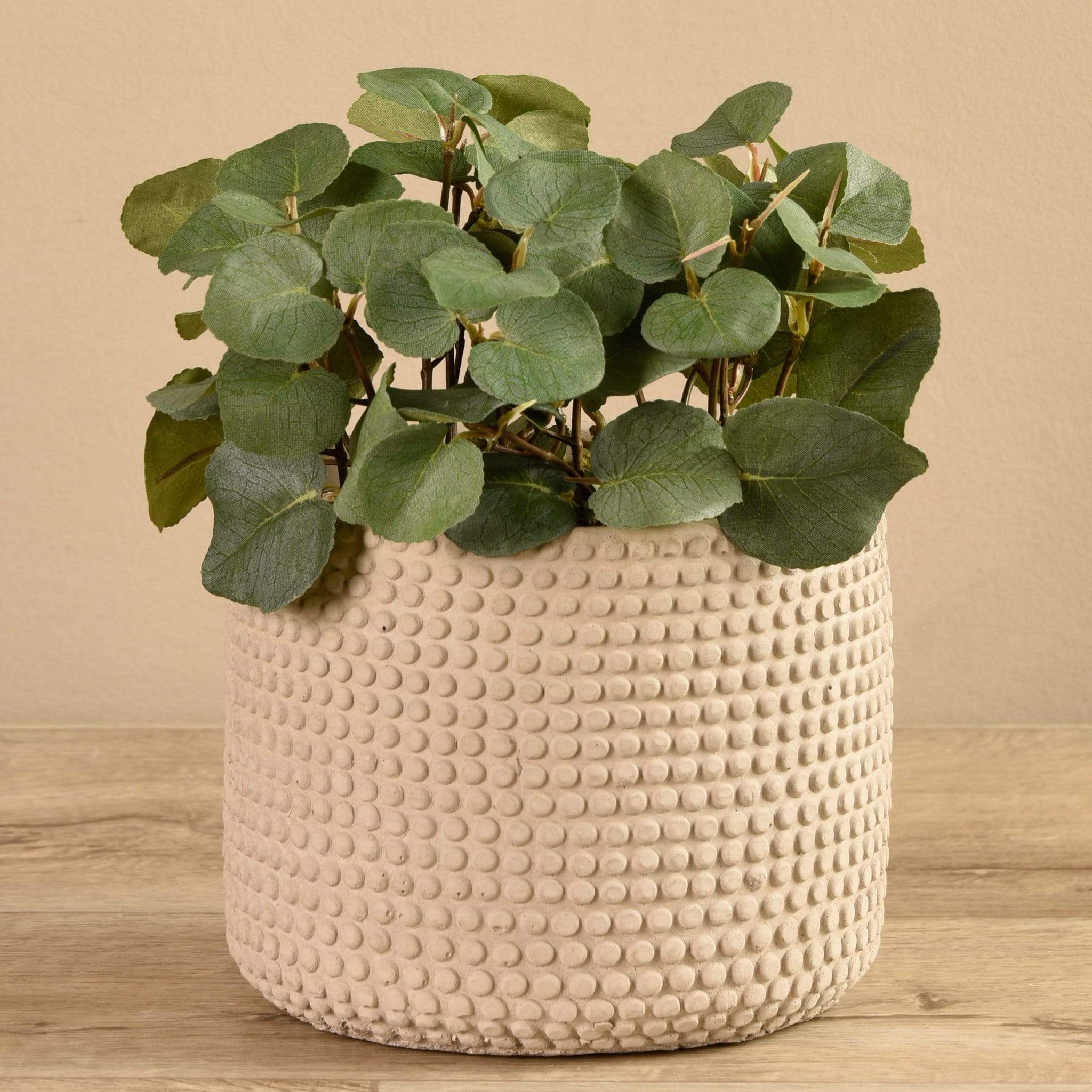 Artificial Eucalyptus In Cement Pot - Image 3