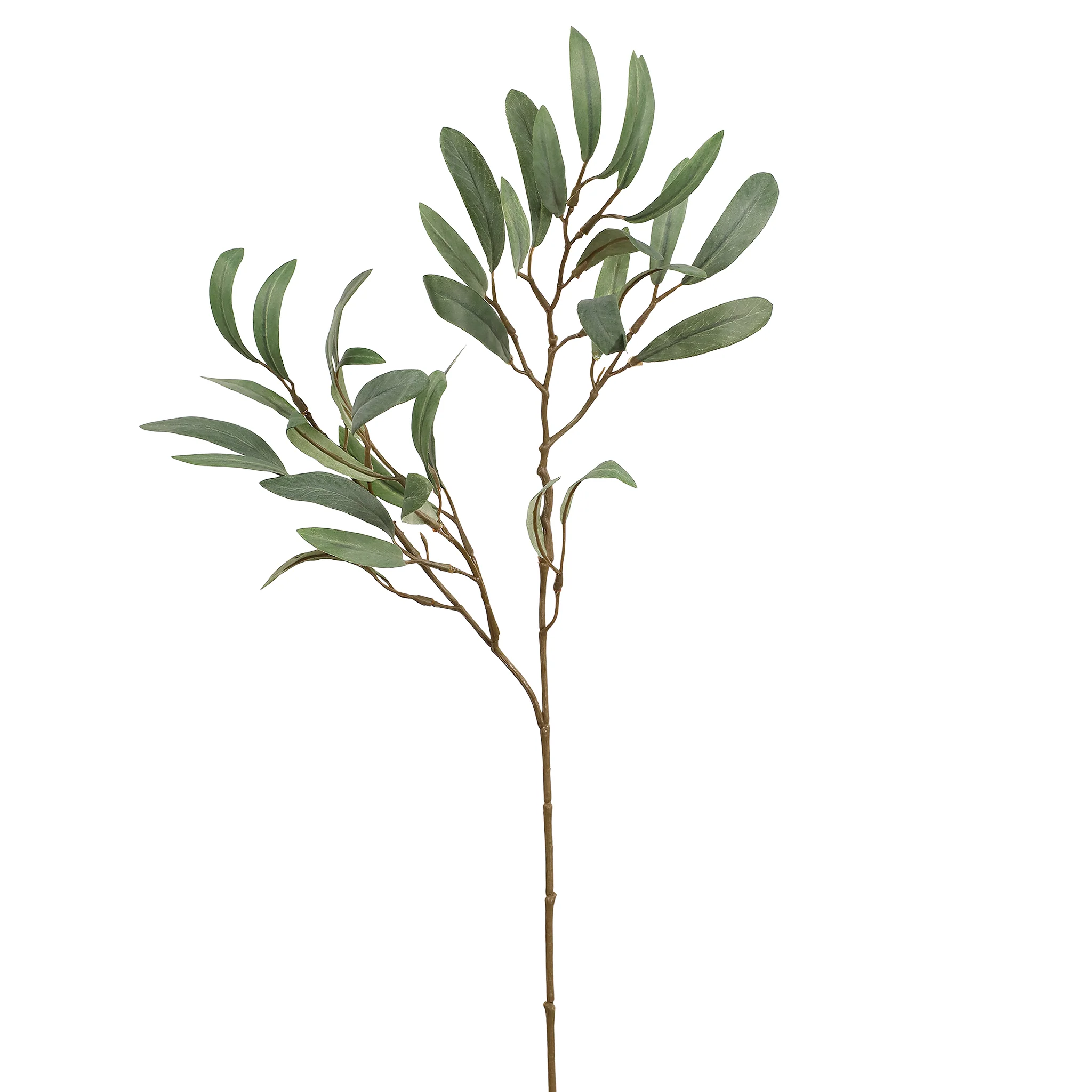 Eucalyptus Spray