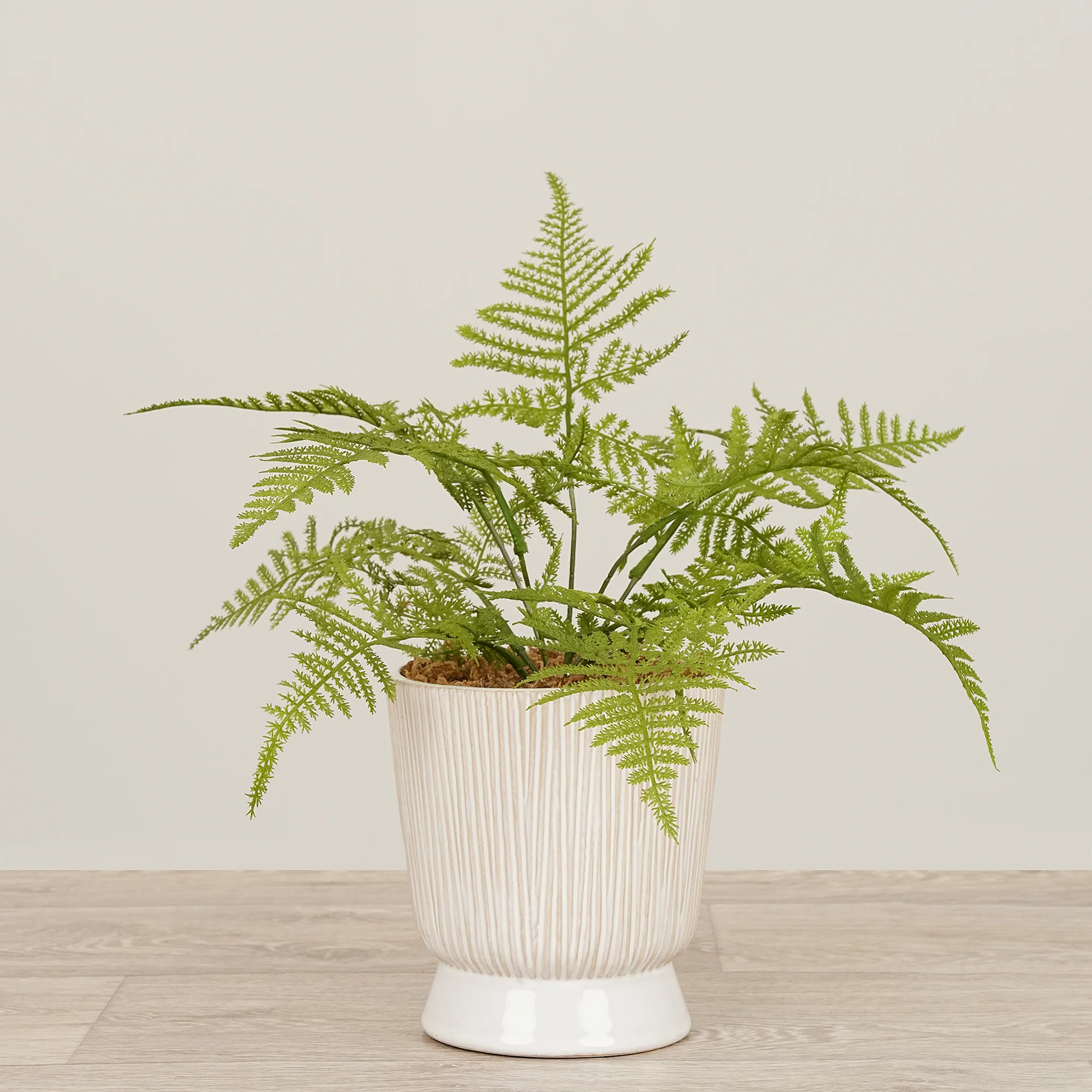 Artificial Fern Arrangement in Ceramic Vase