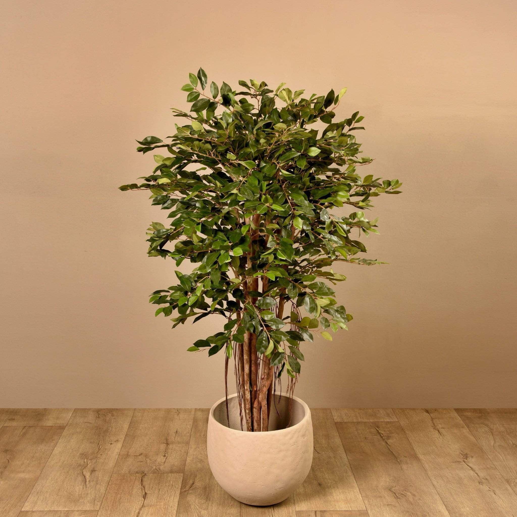 Artificial Ficus Retusa Tree 150cm