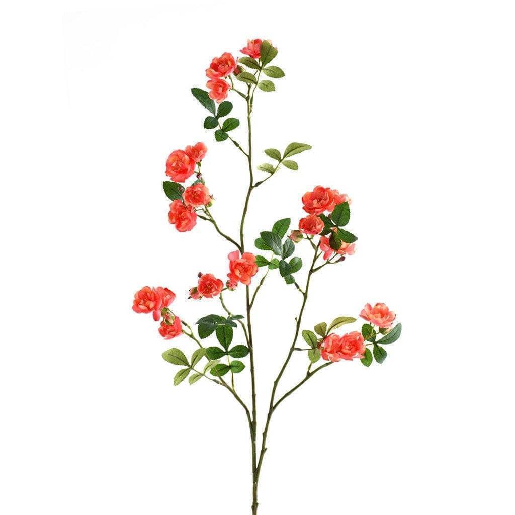 Garden Rose - Image 3