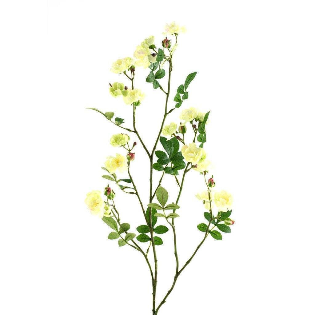 Garden Rose - Image 4