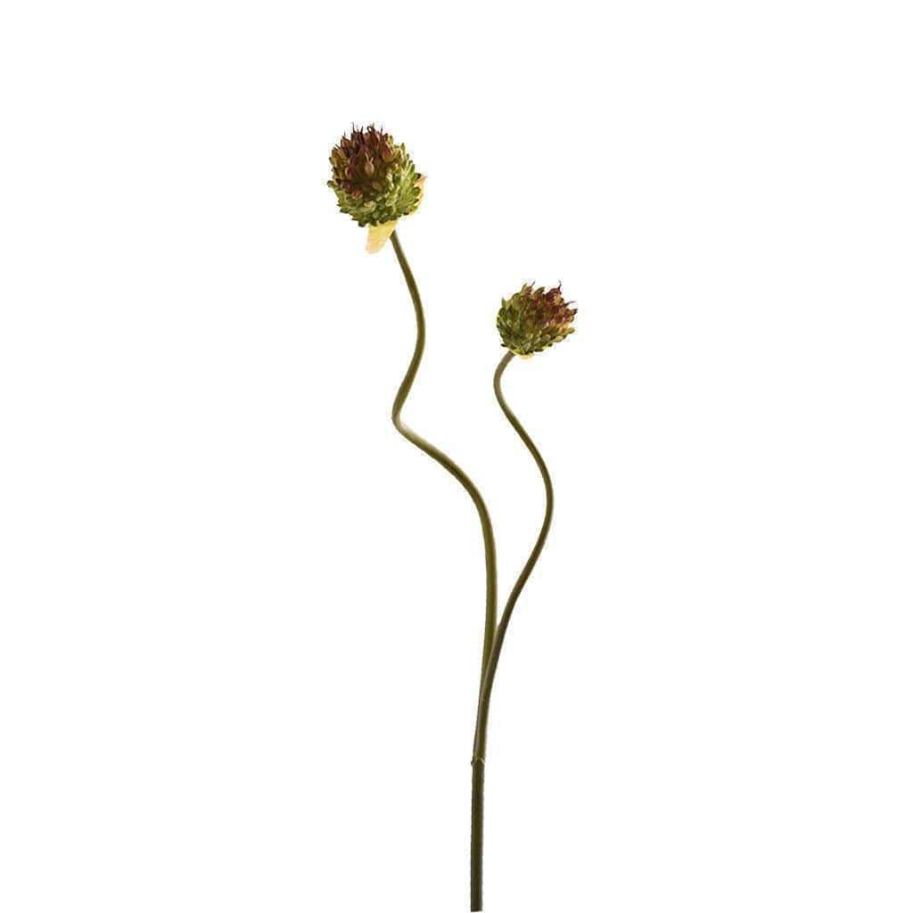 Garlic Spray - Image 2