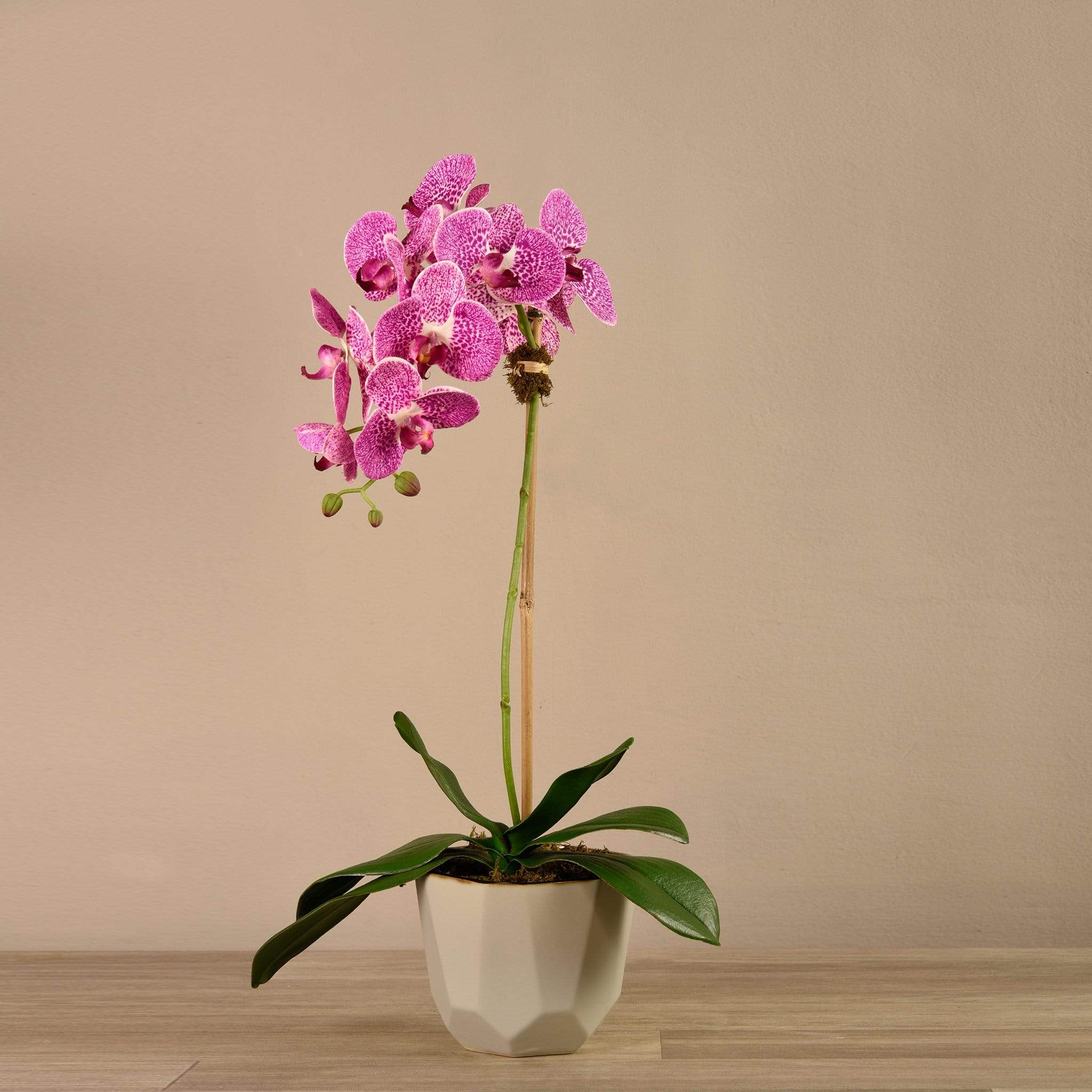 Artificial Orchid Arrangement - Image 8