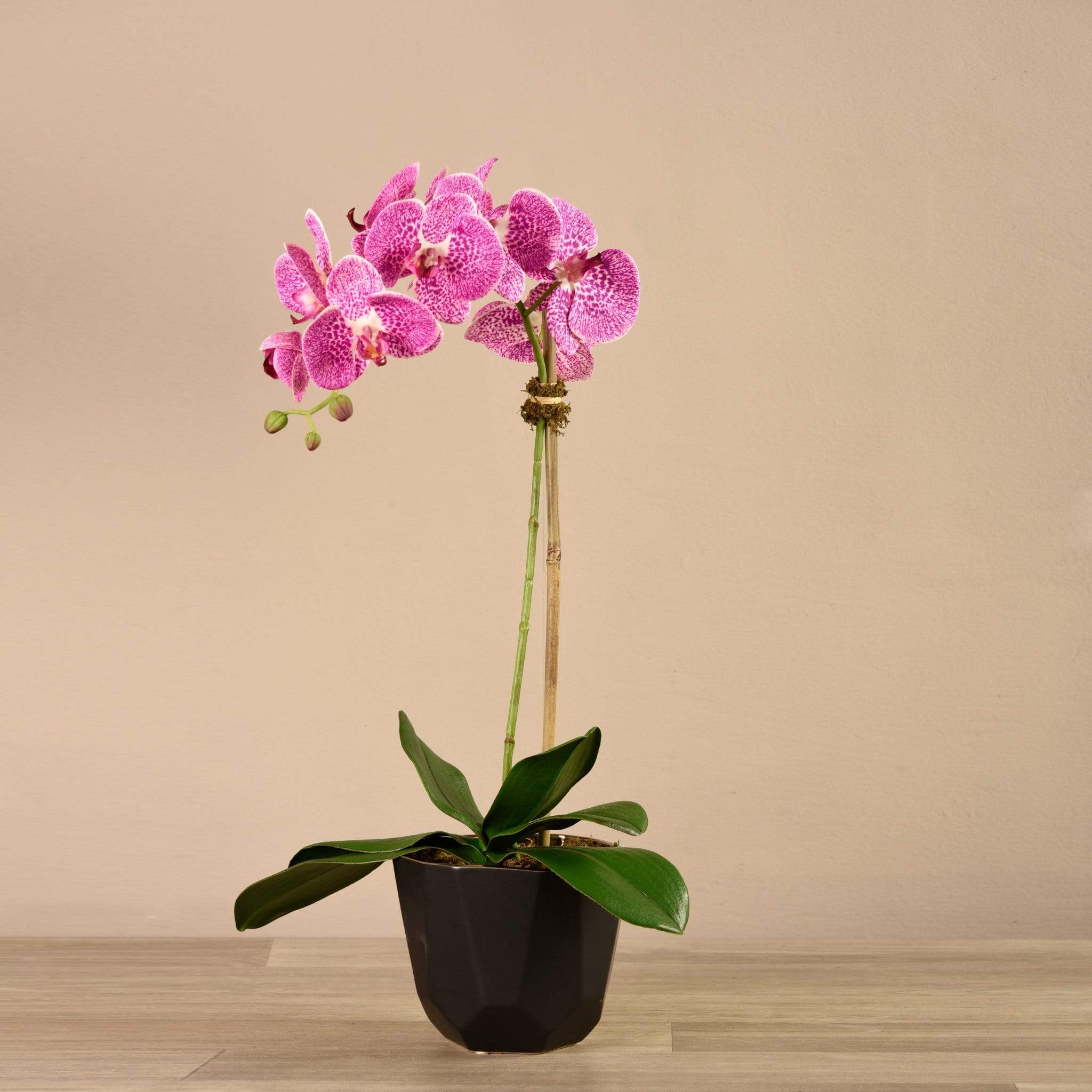 Artificial Orchid Arrangement - Image 8