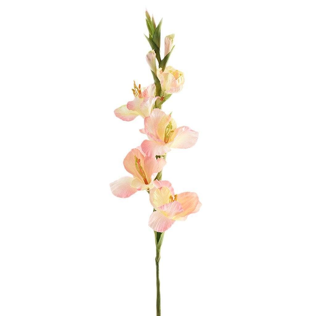 Gladiola - Image 2