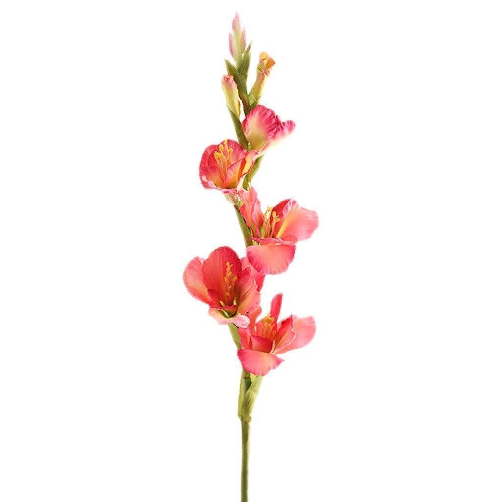 Gladiola - Image 3