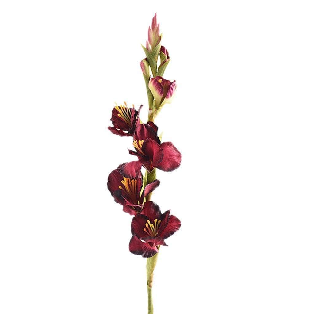 Gladiola - Image 5