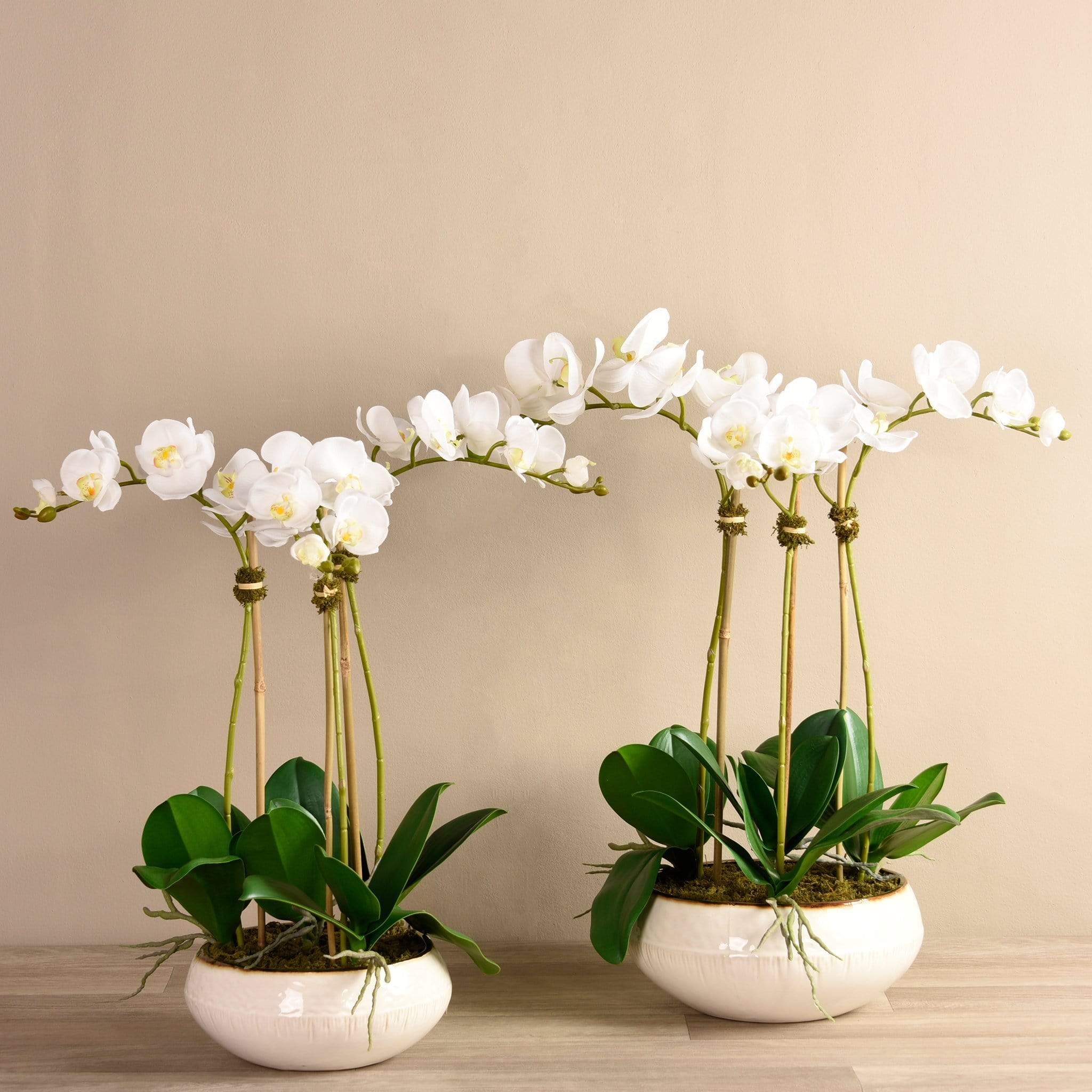 Greenhouse Artificial Orchid Arrangement
