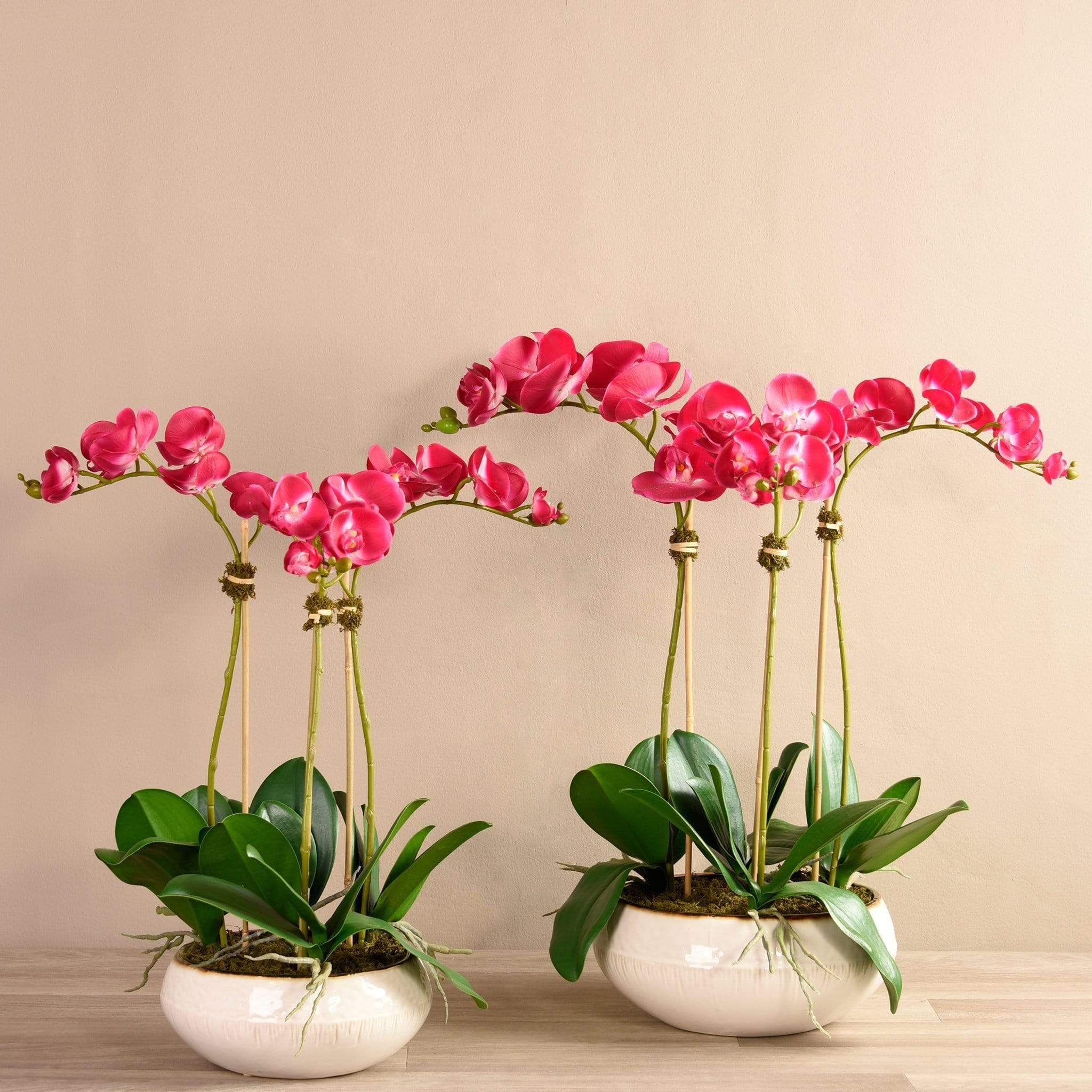 Greenhouse Artificial Orchid Arrangement - Image 2