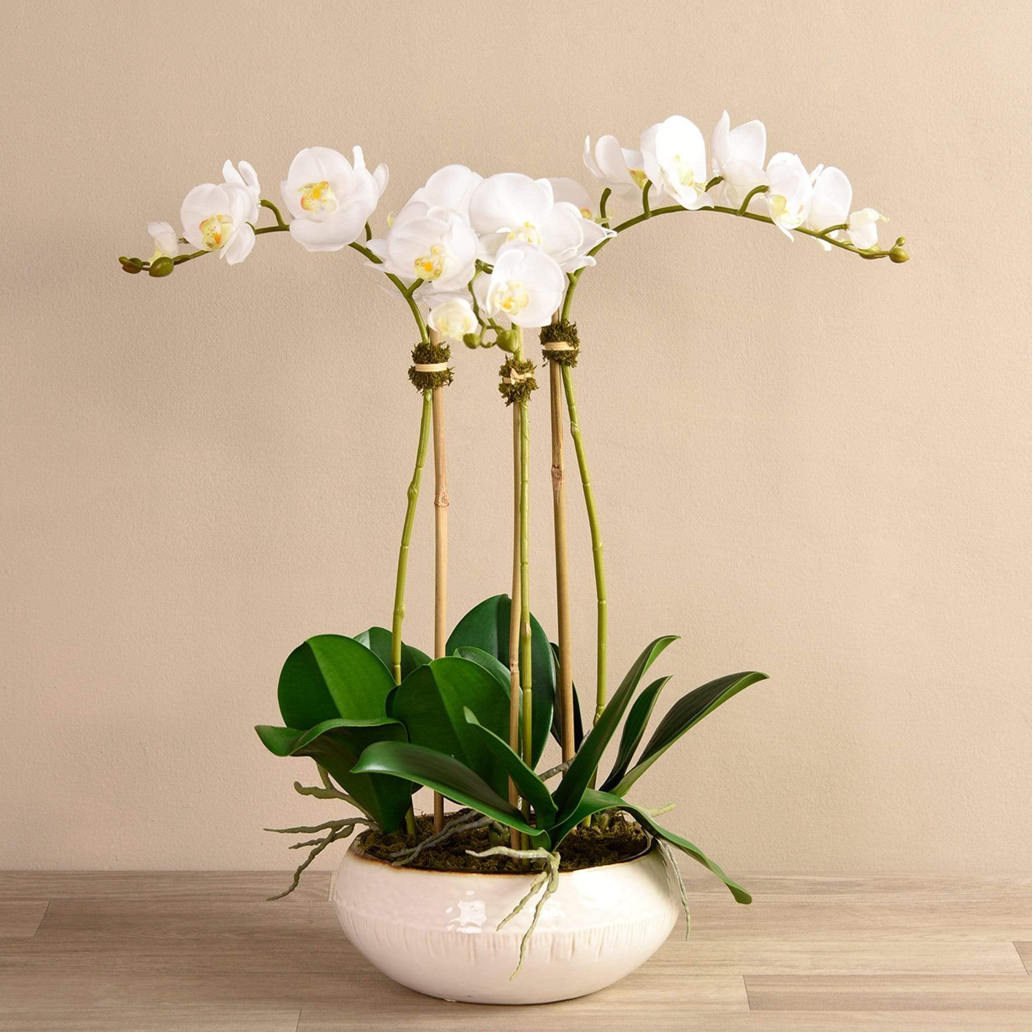 Greenhouse Artificial Orchid Arrangement - Image 3