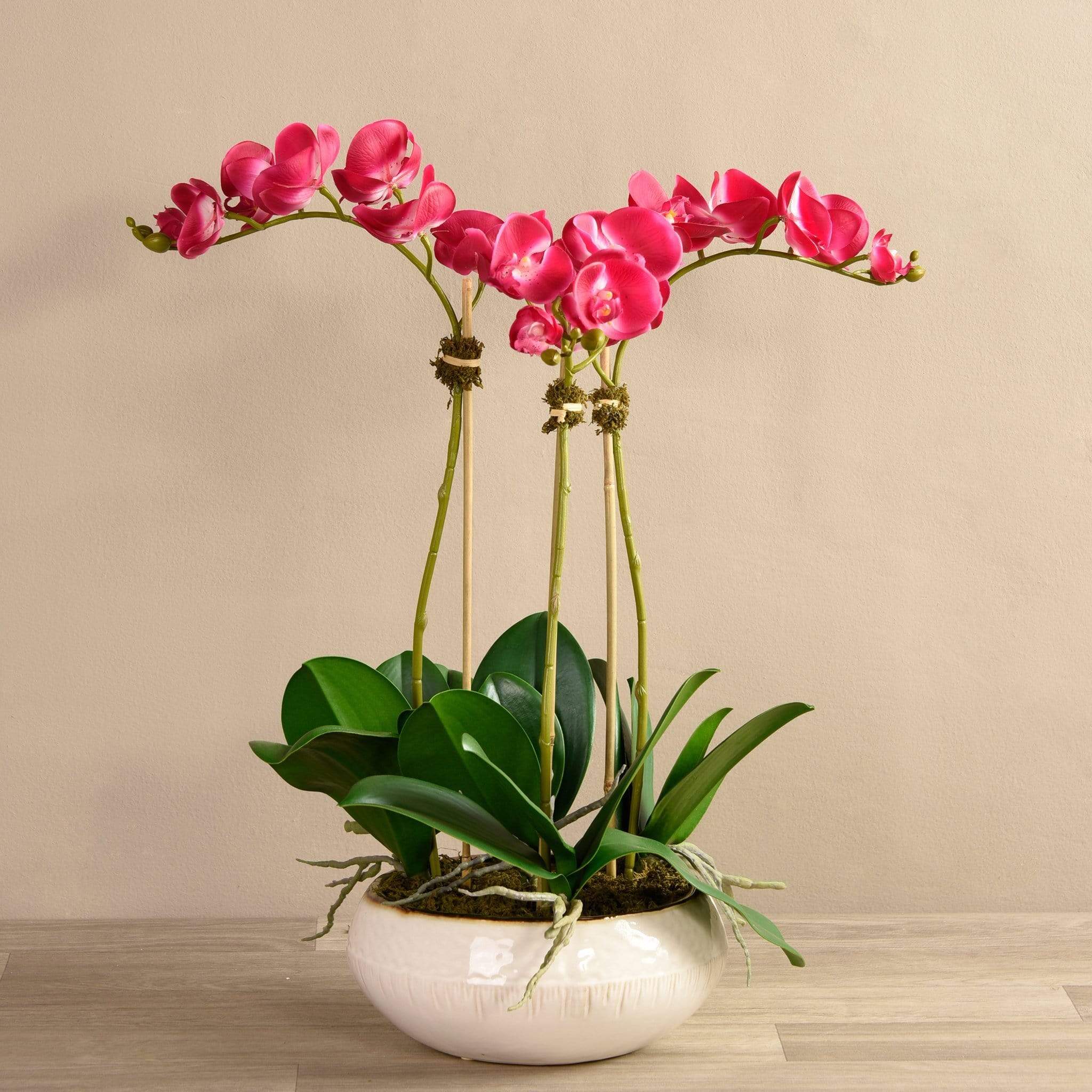 Greenhouse Artificial Orchid Arrangement - Image 4