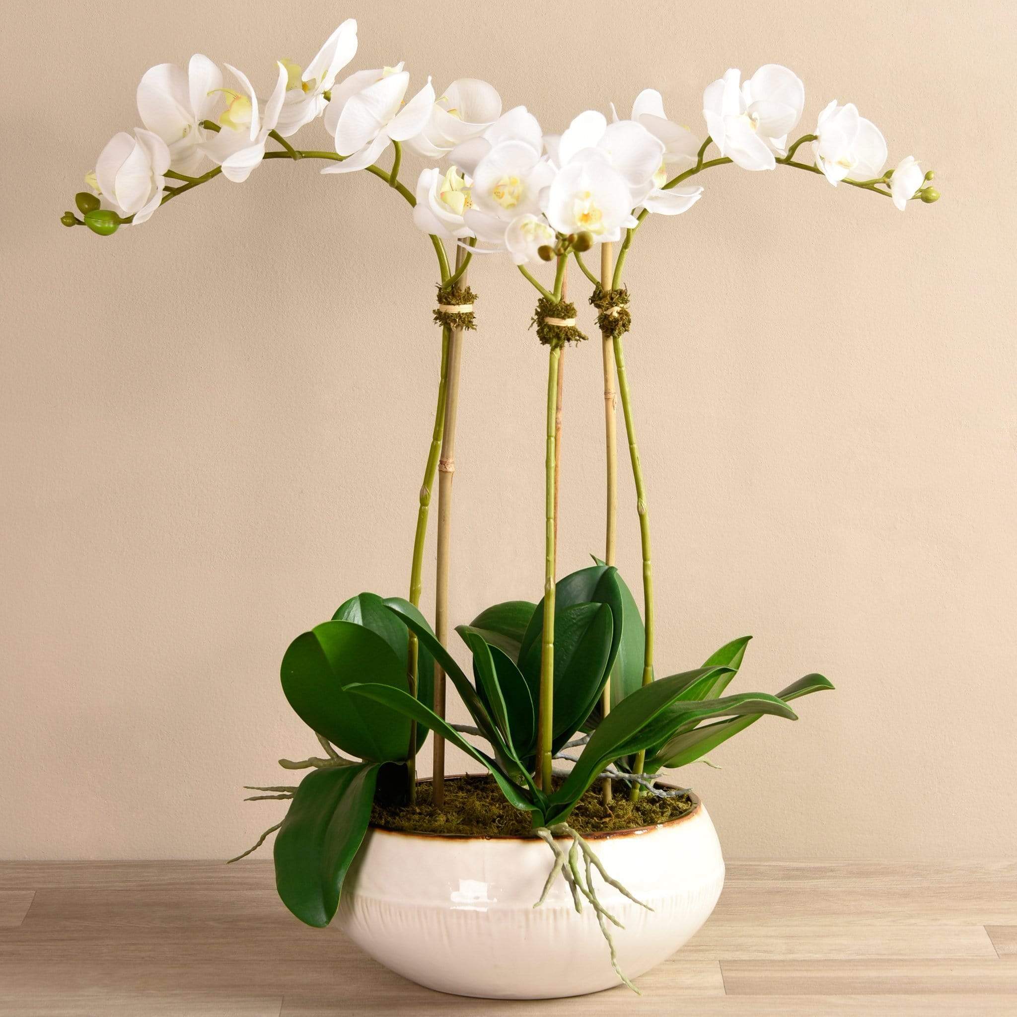 Greenhouse Artificial Orchid Arrangement - Image 5