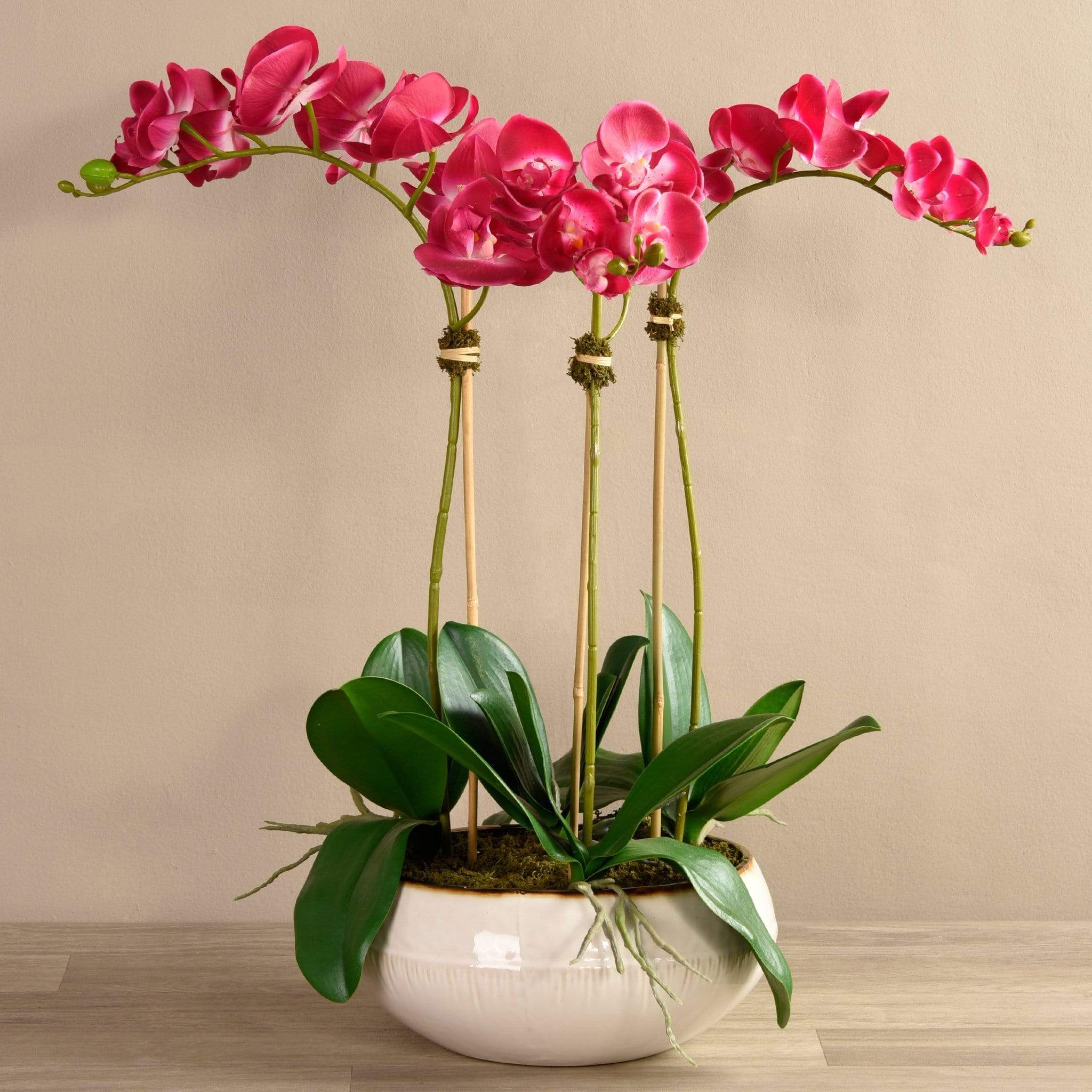 Greenhouse Artificial Orchid Arrangement - Image 6