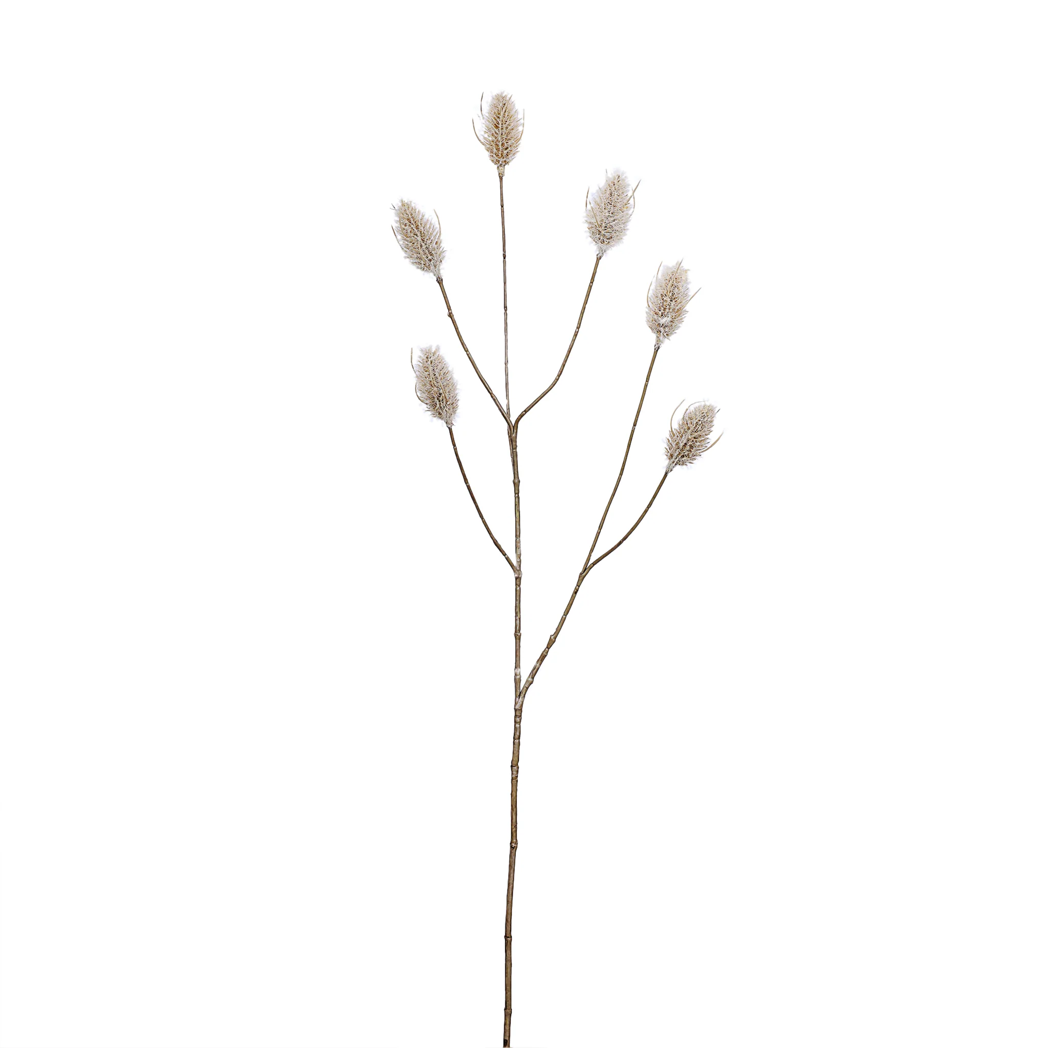 Hare Tail Spray