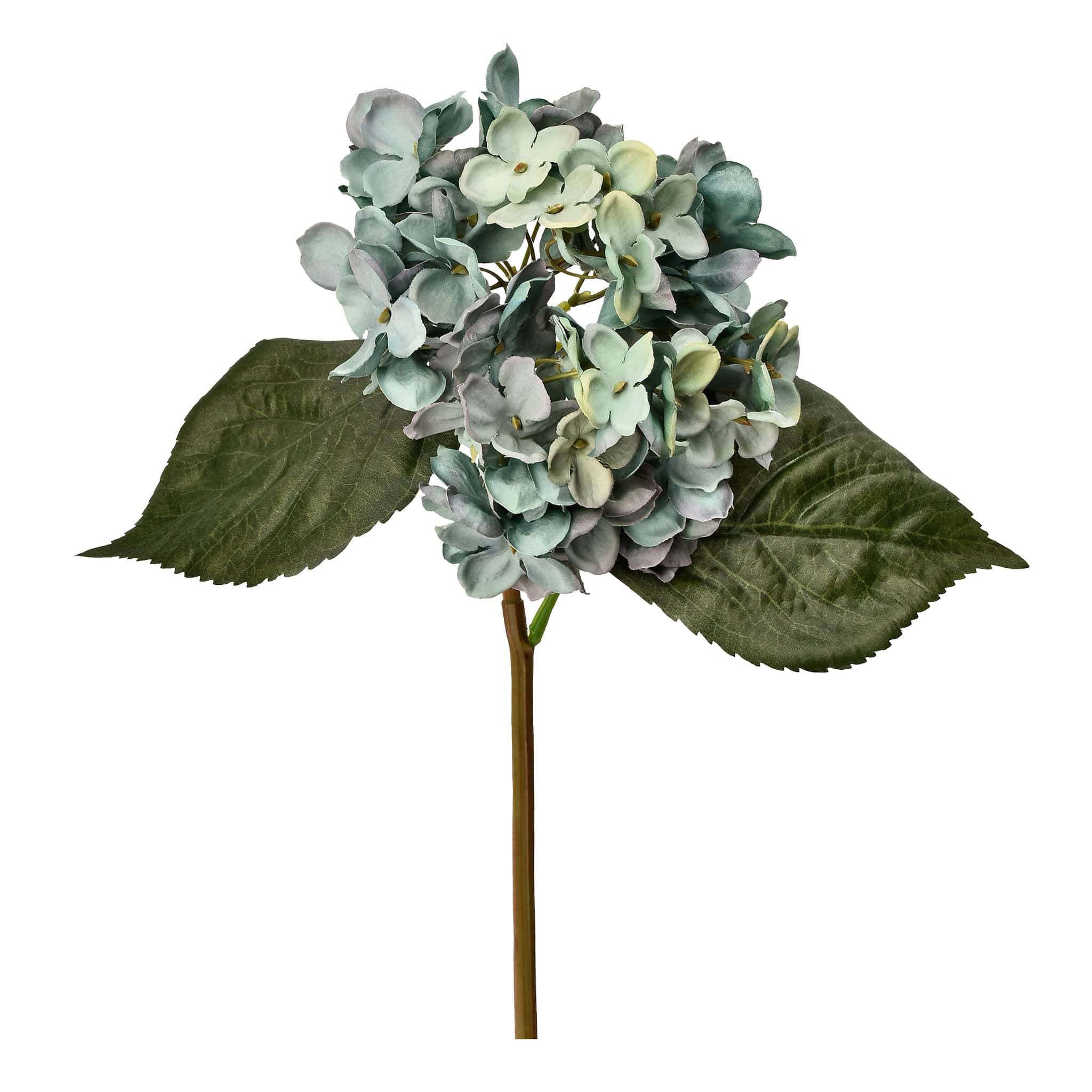 Hydrangea - Image 4