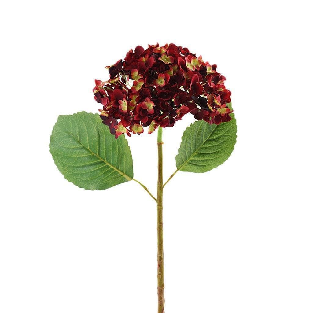 Hydrangea - Image 6