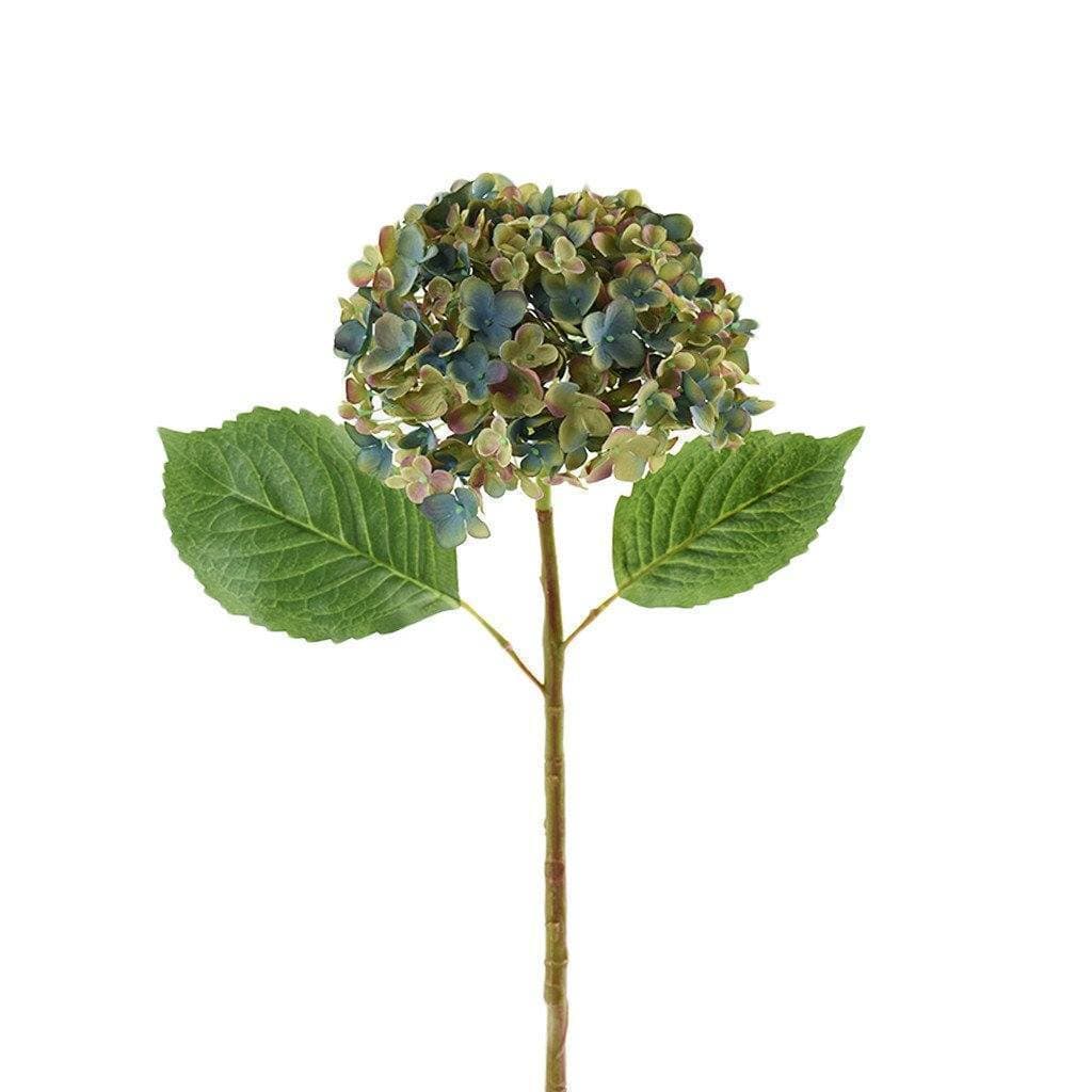 Hydrangea - Image 9