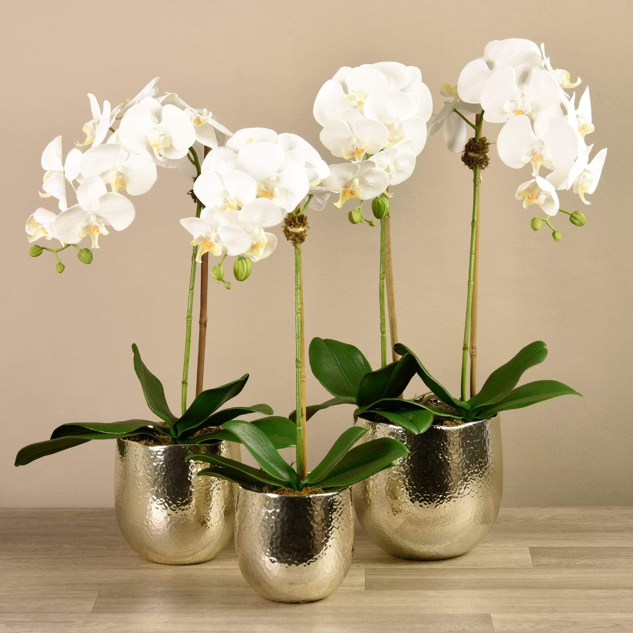 Jewel Artificial Orchid Arrangement