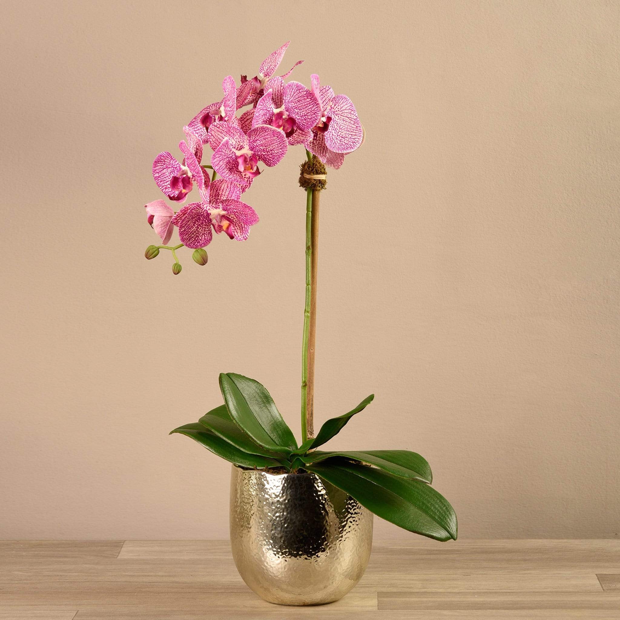 Jewel Artificial Orchid Arrangement - Image 10
