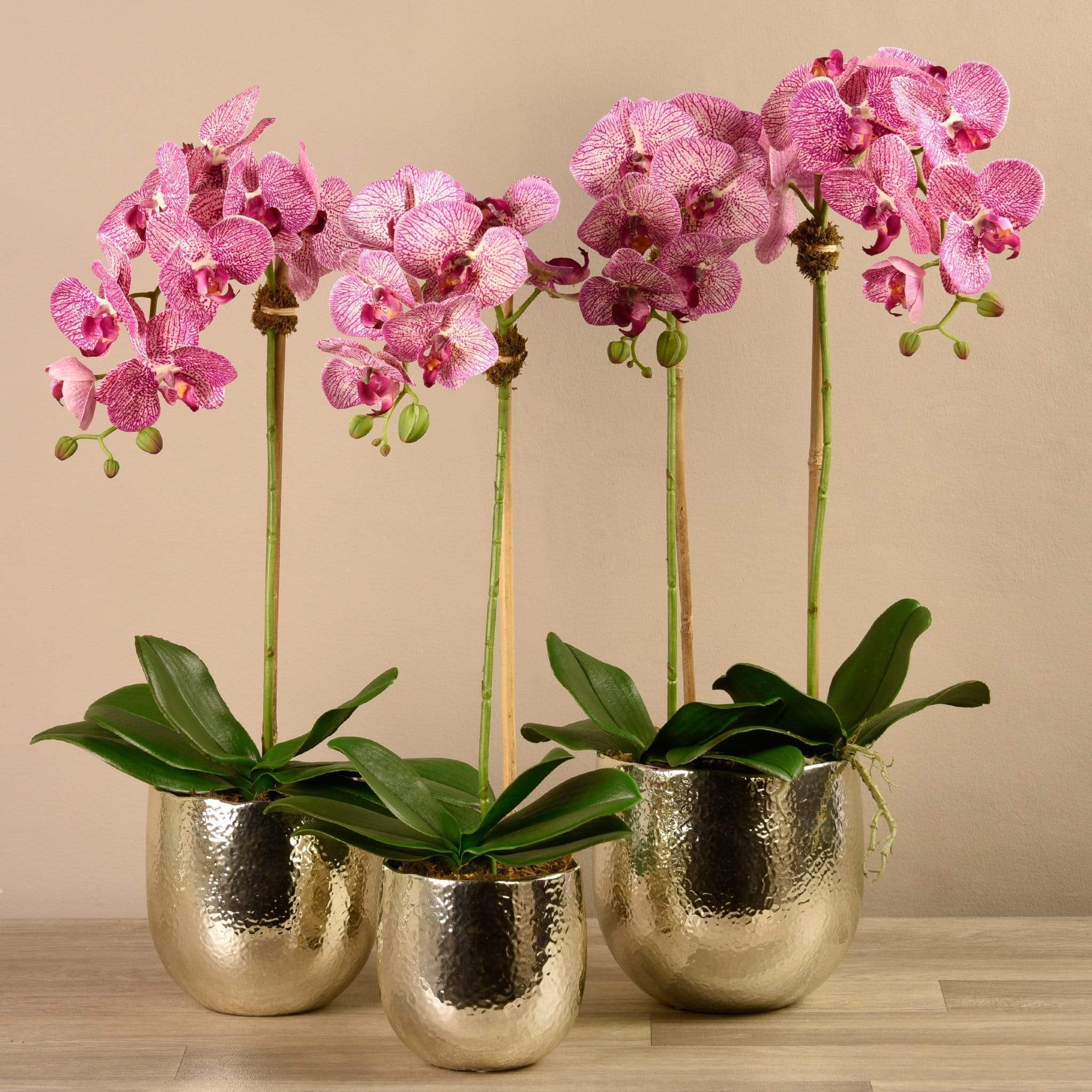 Jewel Artificial Orchid Arrangement - Image 12